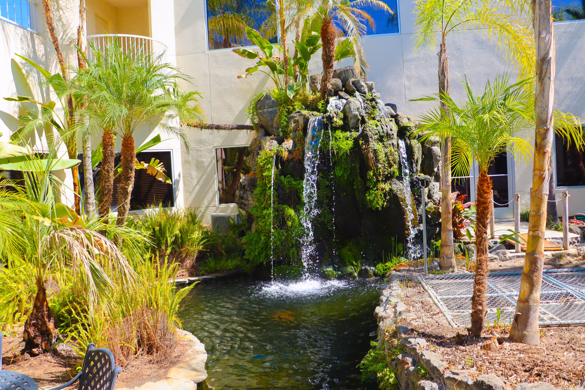 Outdoor courtyard featuring a cascading waterfall, palm trees, rocks, and seating near the building.
