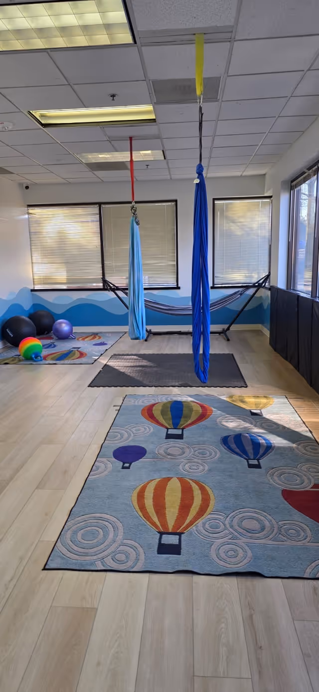 Interior therapy room with aerial silks and colorful mats.
