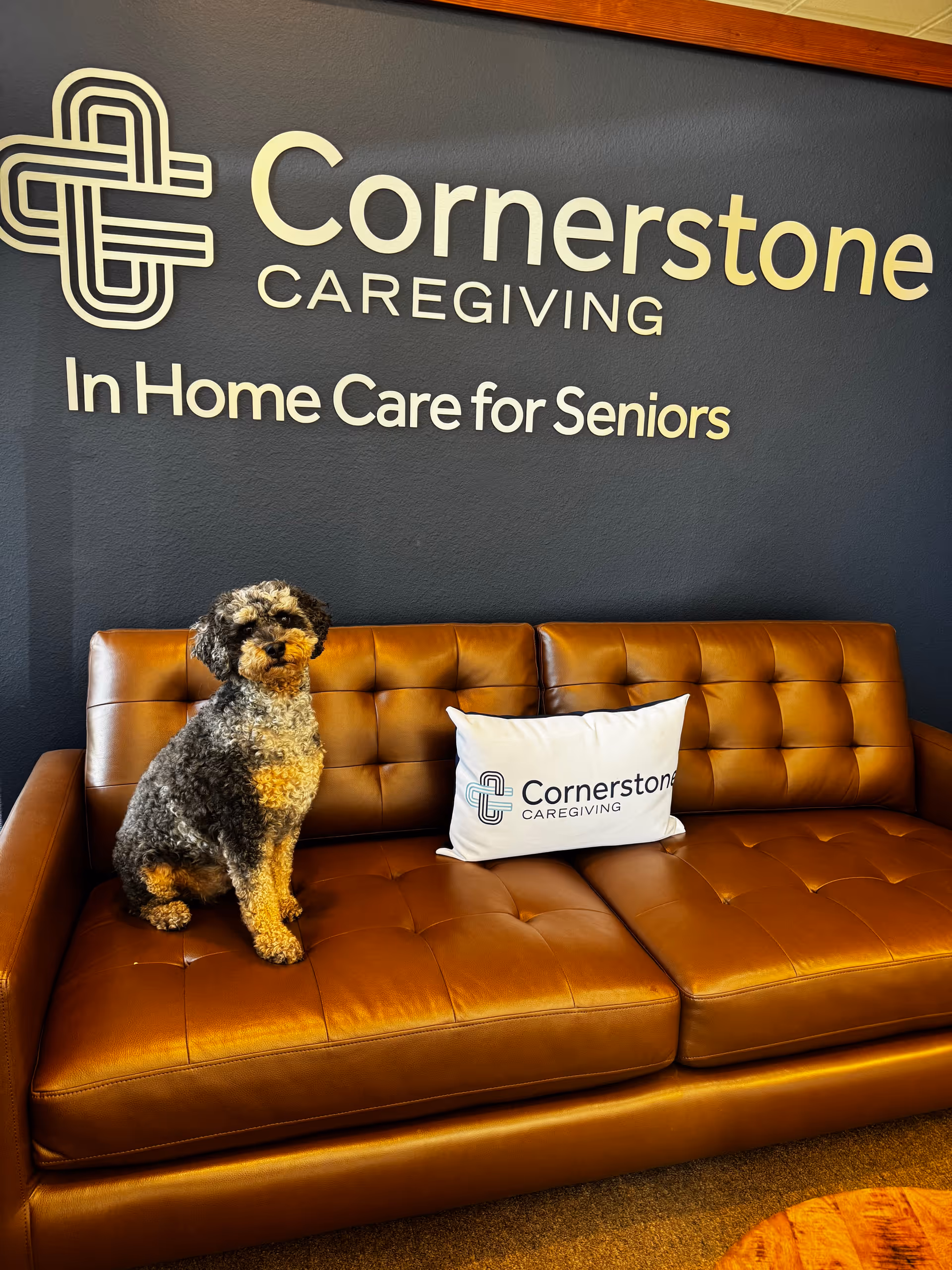 In Cornerstone Caregiving lobby, a dog sits on a brown leather couch.