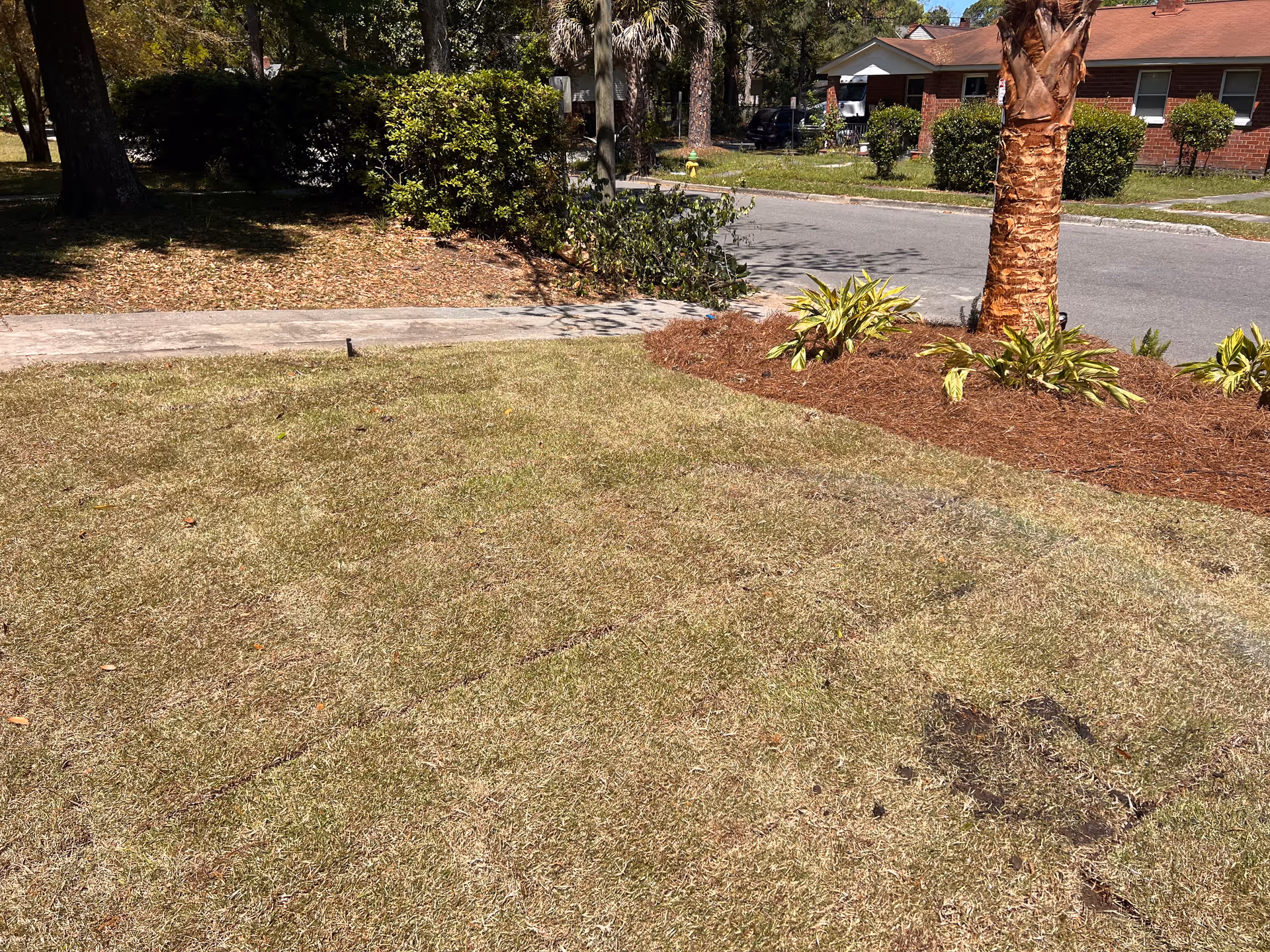 Outdoor lawn area in front of a brick senior living building with trees and shrubs.