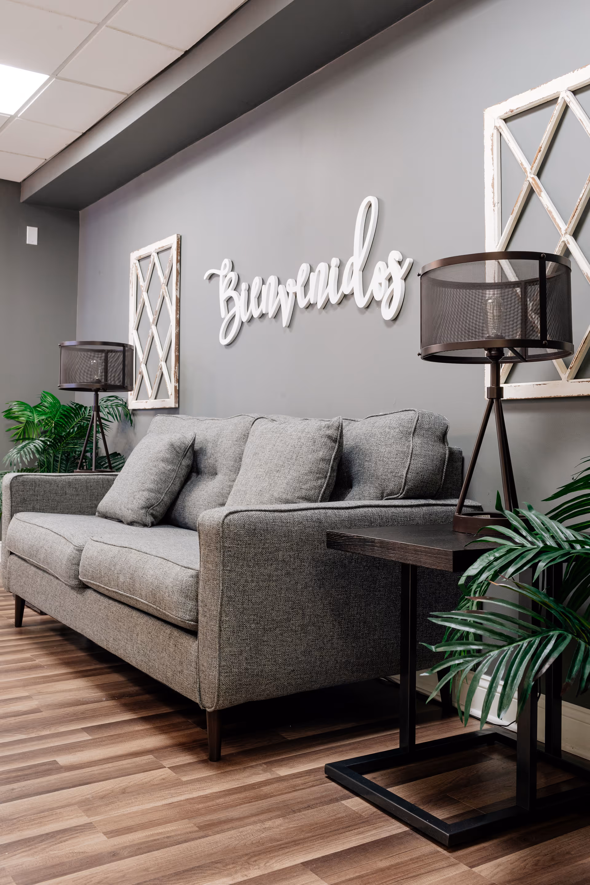 Grey sofa with cushions in a modern living lounge, decorative wall sign, lamps, and plants.