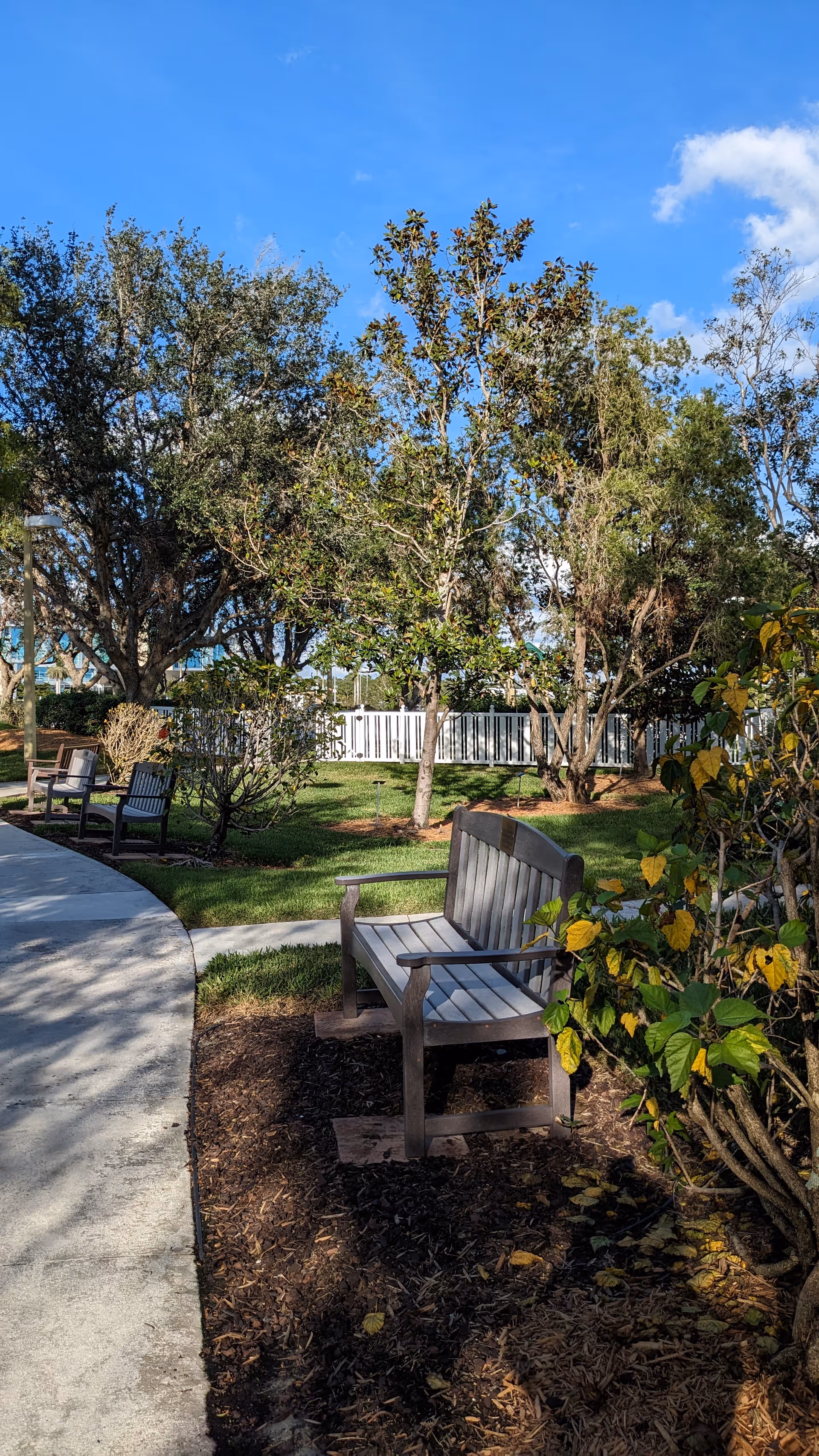 Sunny outdoor garden with benches, a curved path, and trees at Hope Hospice.