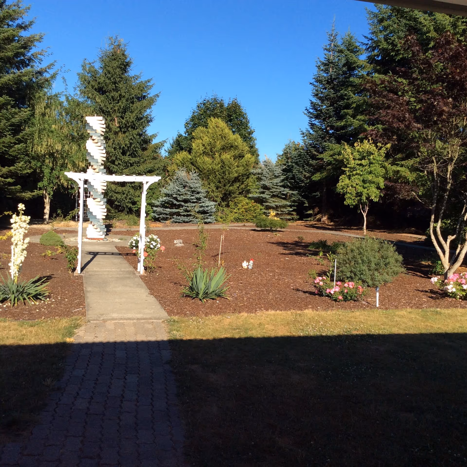 Sunny garden with a paved path, archway, and various trees and flowers.