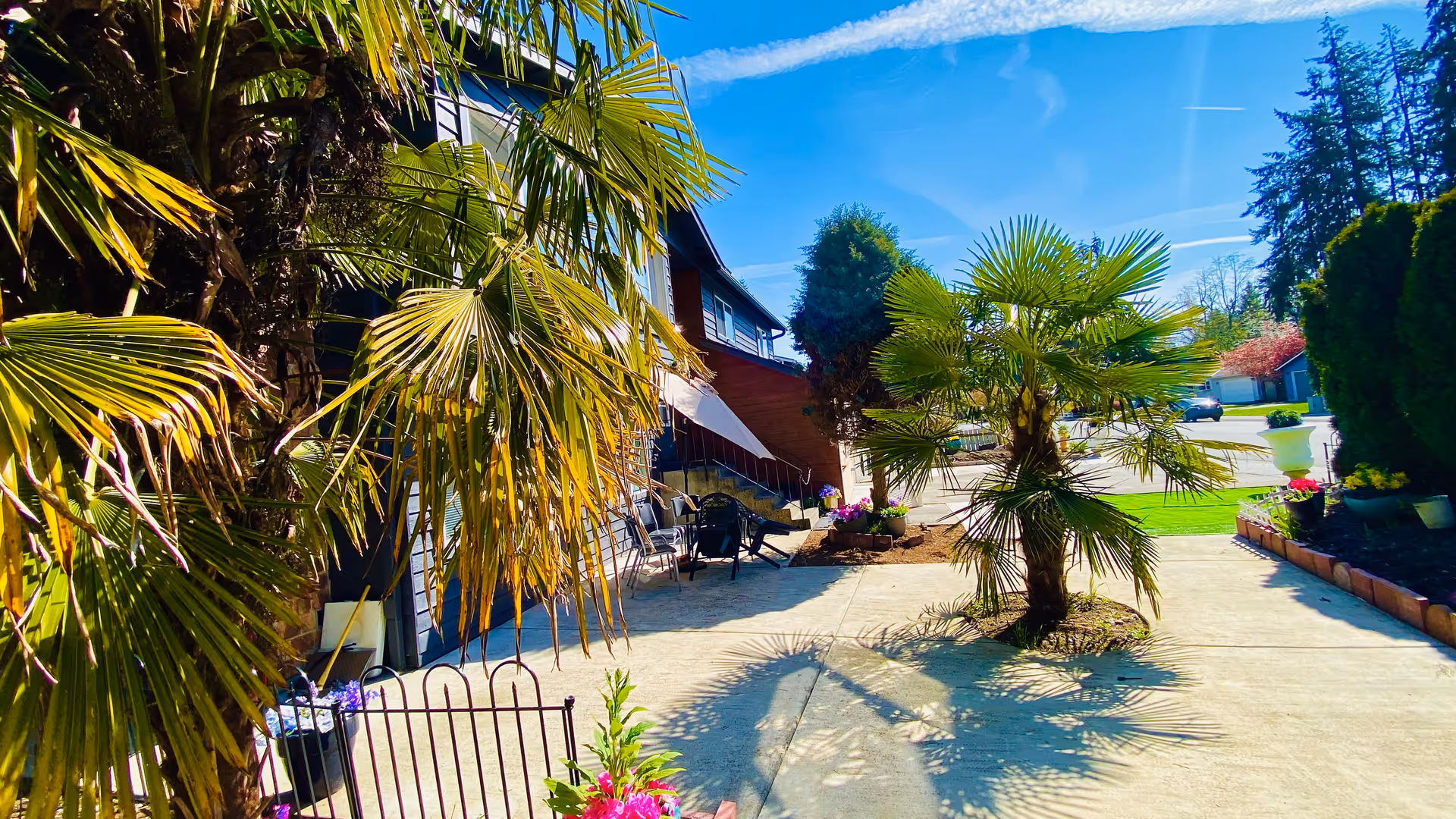 Sunny outdoor patio at Blissful Living AFH with palm trees, seating, and building entrance.