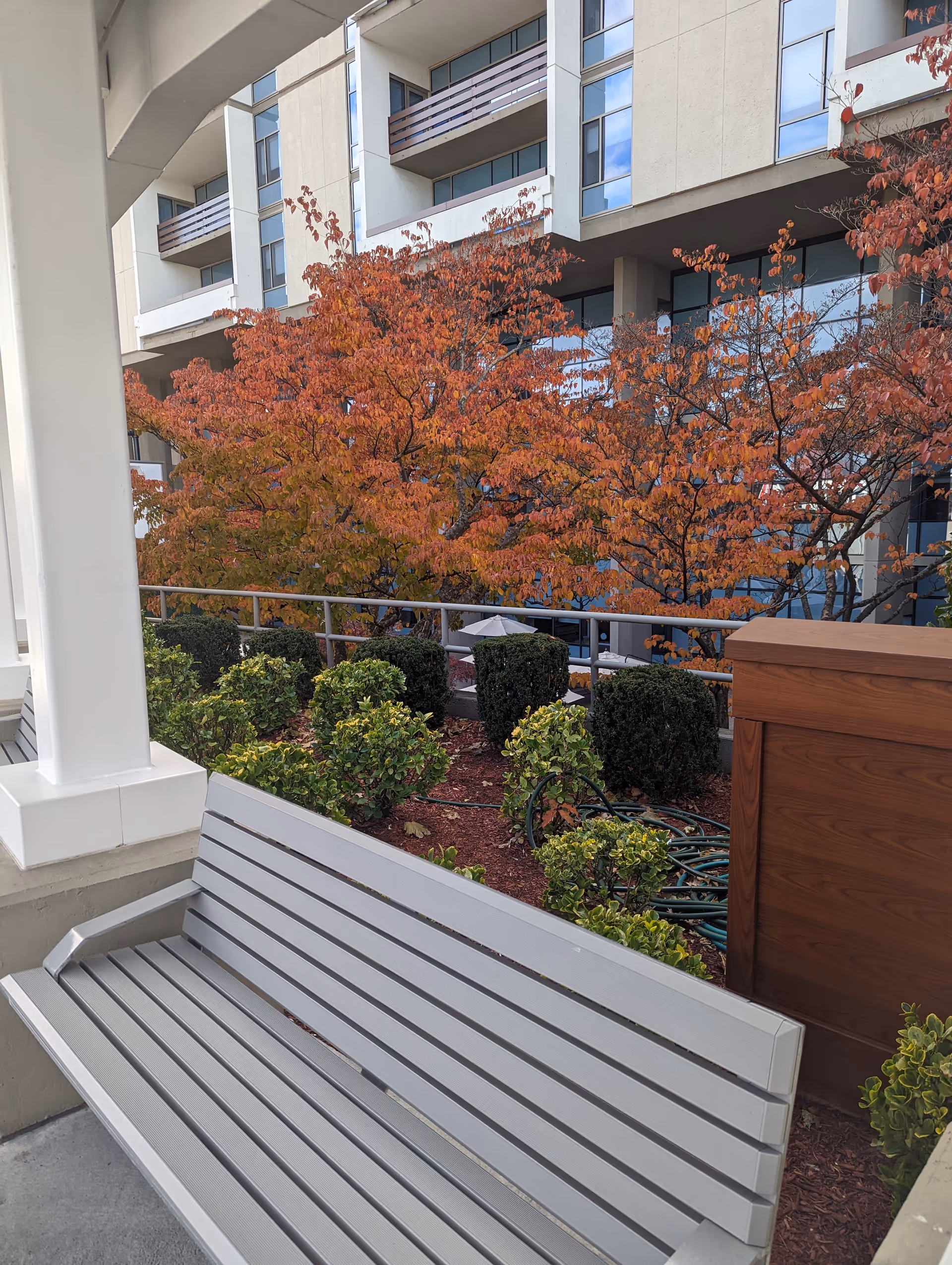 Outdoor courtyard of a senior living building featuring a white bench, trimmed shrubs, and autumn trees.
