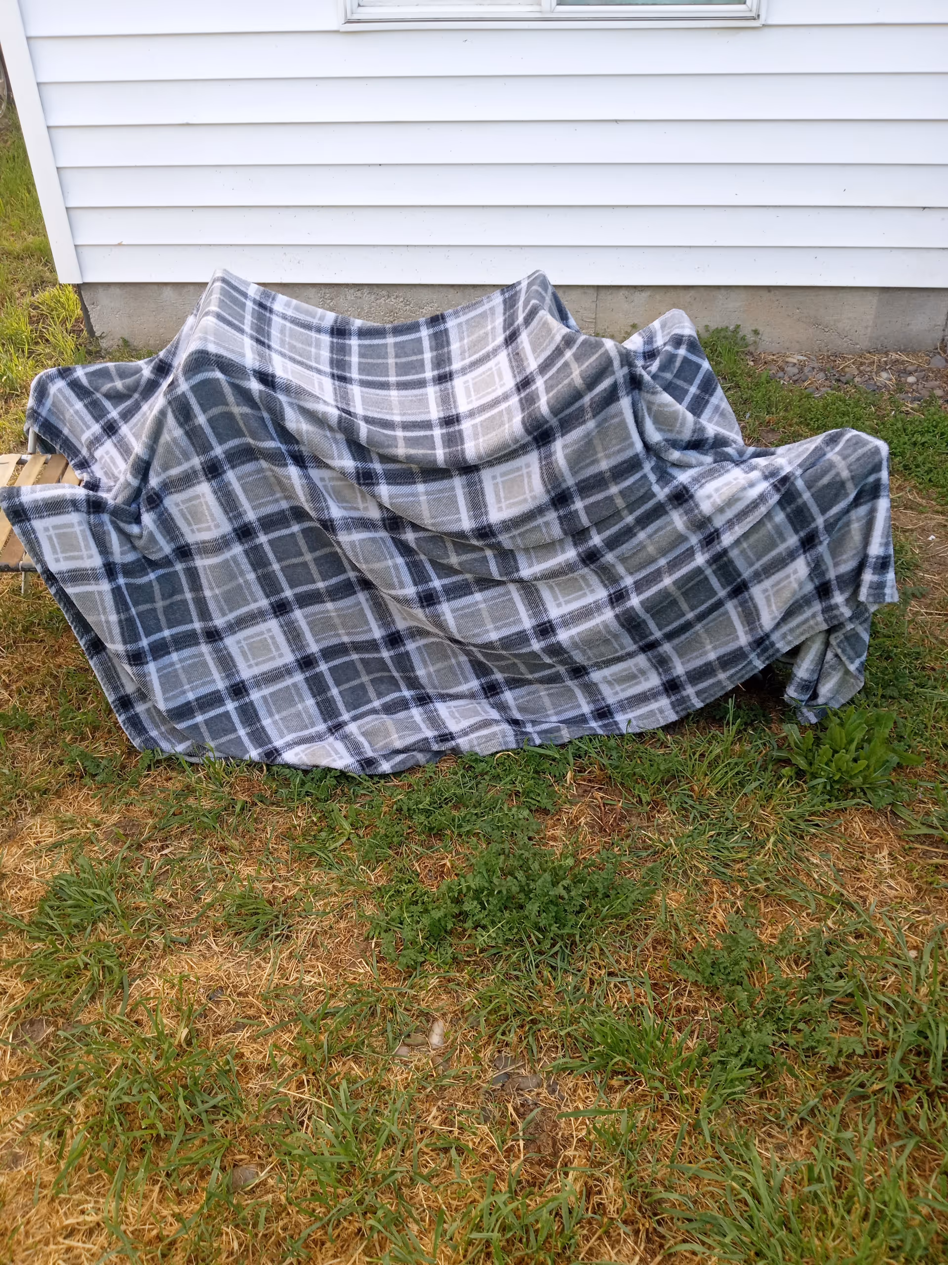 A plaid blanket draped over an outdoor chair on grass beside a white house.