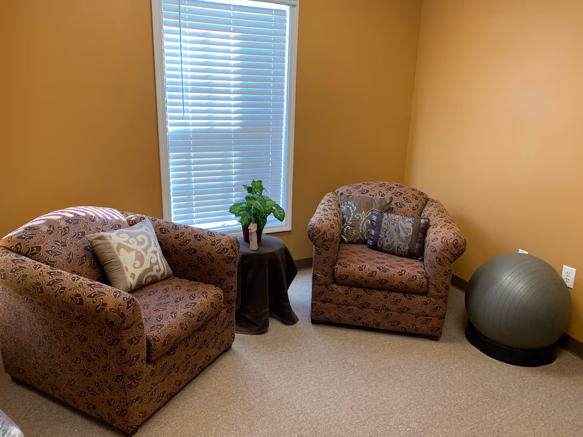 Cozy seating area with two patterned armchairs, a small table, plant, window blinds, and exercise ball.