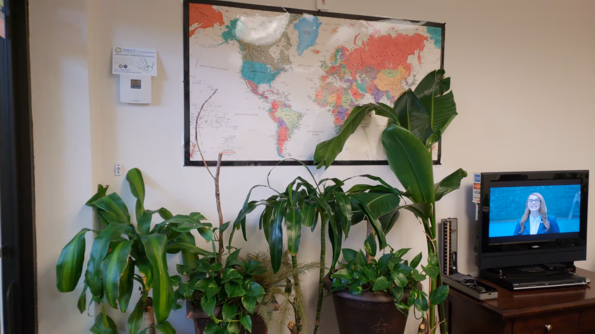 Indoor common area with large houseplants, a world map on the wall, and a TV.