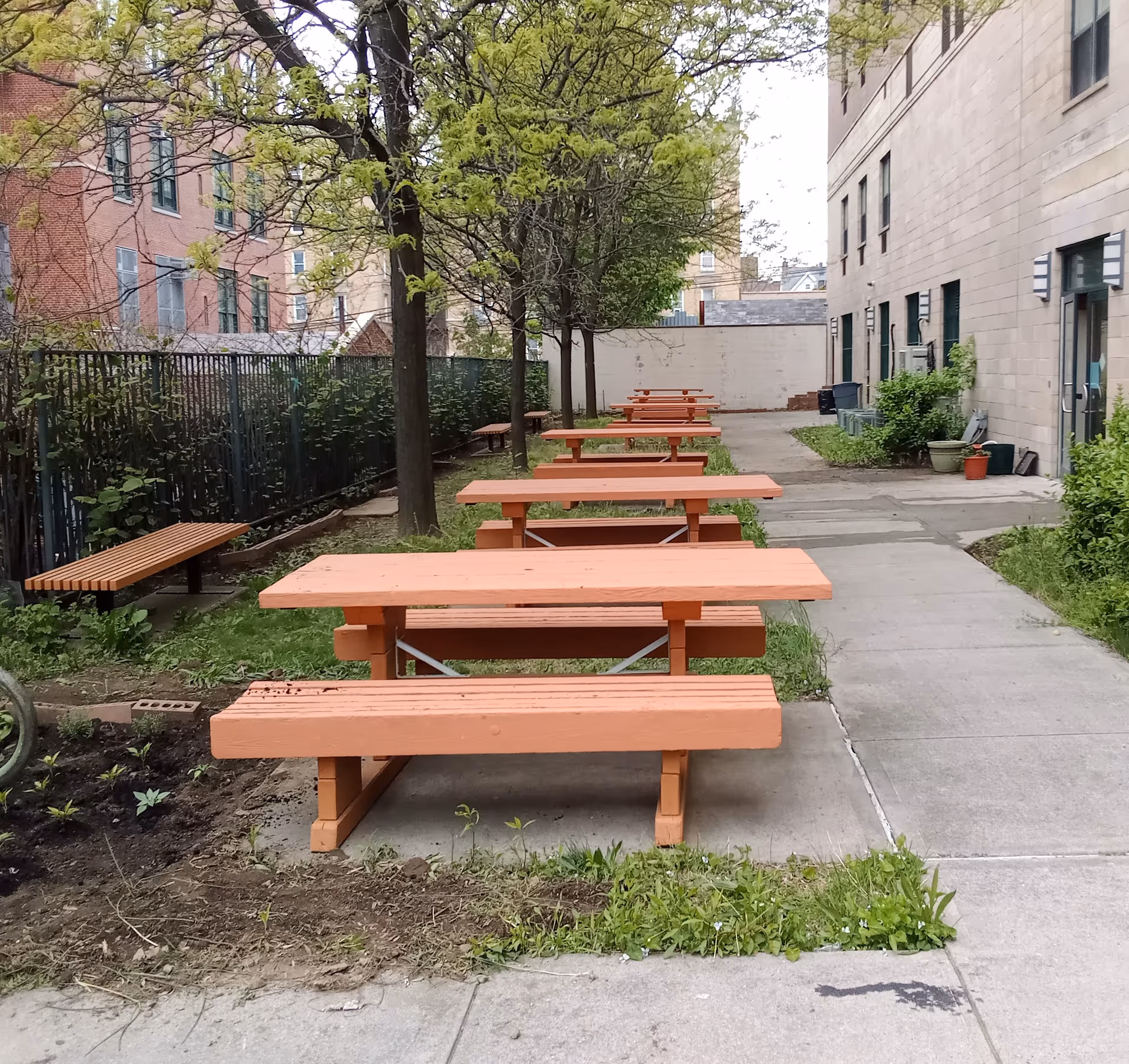 Orange picnic tables line a concrete path in a shaded outdoor courtyard.