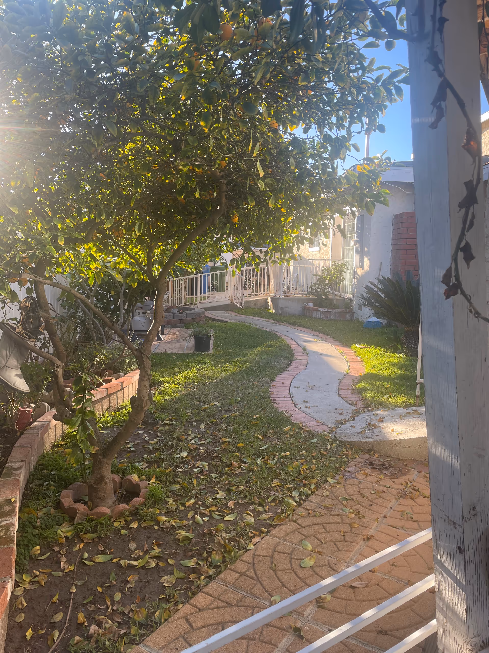 Sunlit outdoor courtyard with a curved brick pathway, trees, and a railing along a building.
