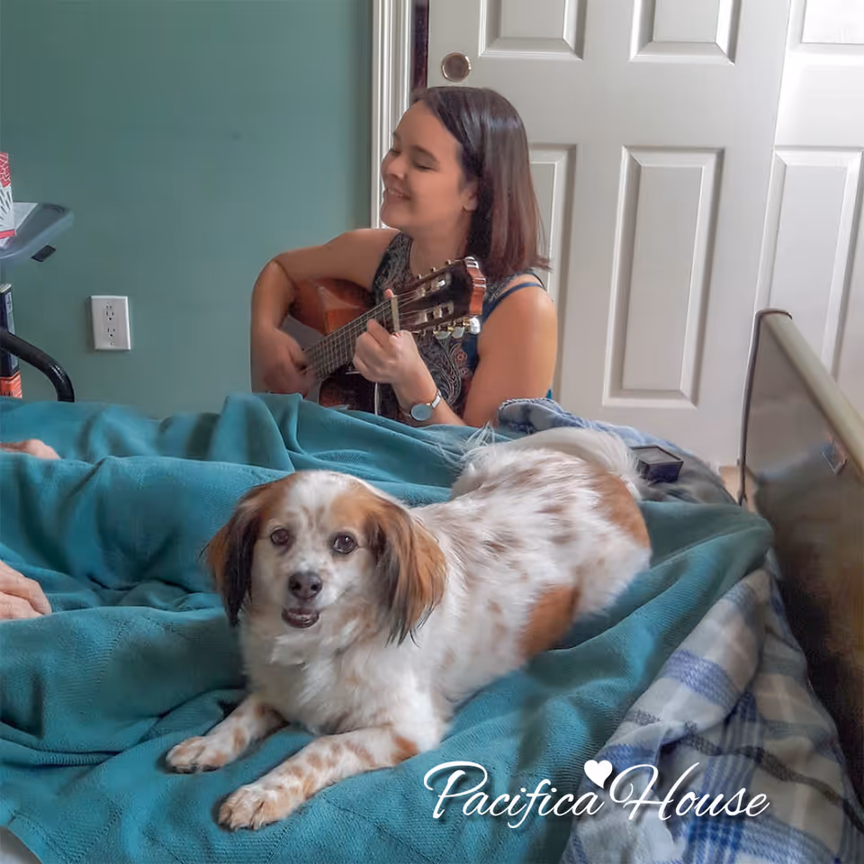 Person plays guitar beside a bed as a small dog rests on teal blankets.