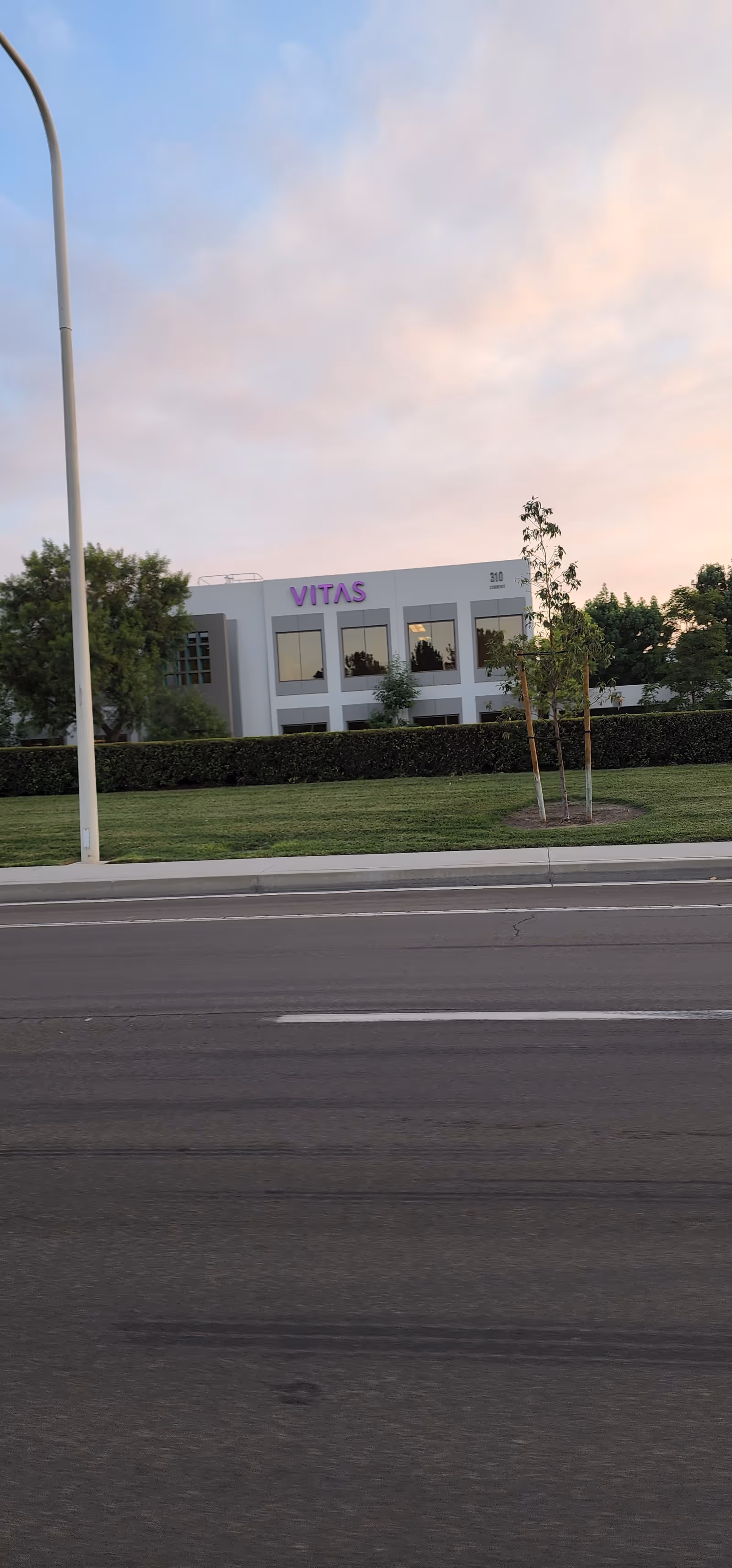 VITAS Healthcare building front with a purple sign, green lawn, and street nearby.
