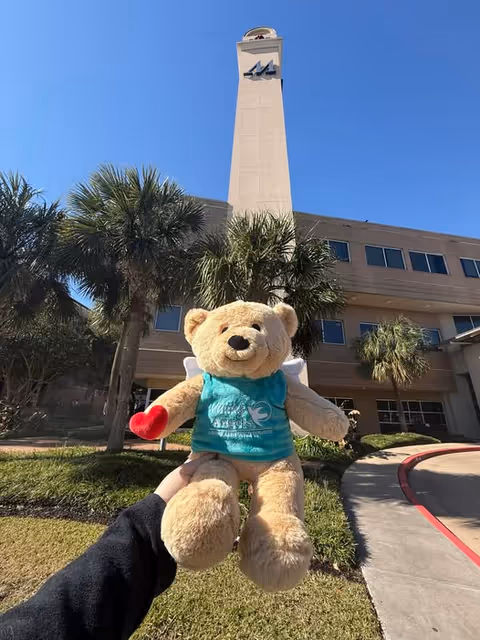 Teddy bear held up in front of Visiting Angels exterior building with palm trees