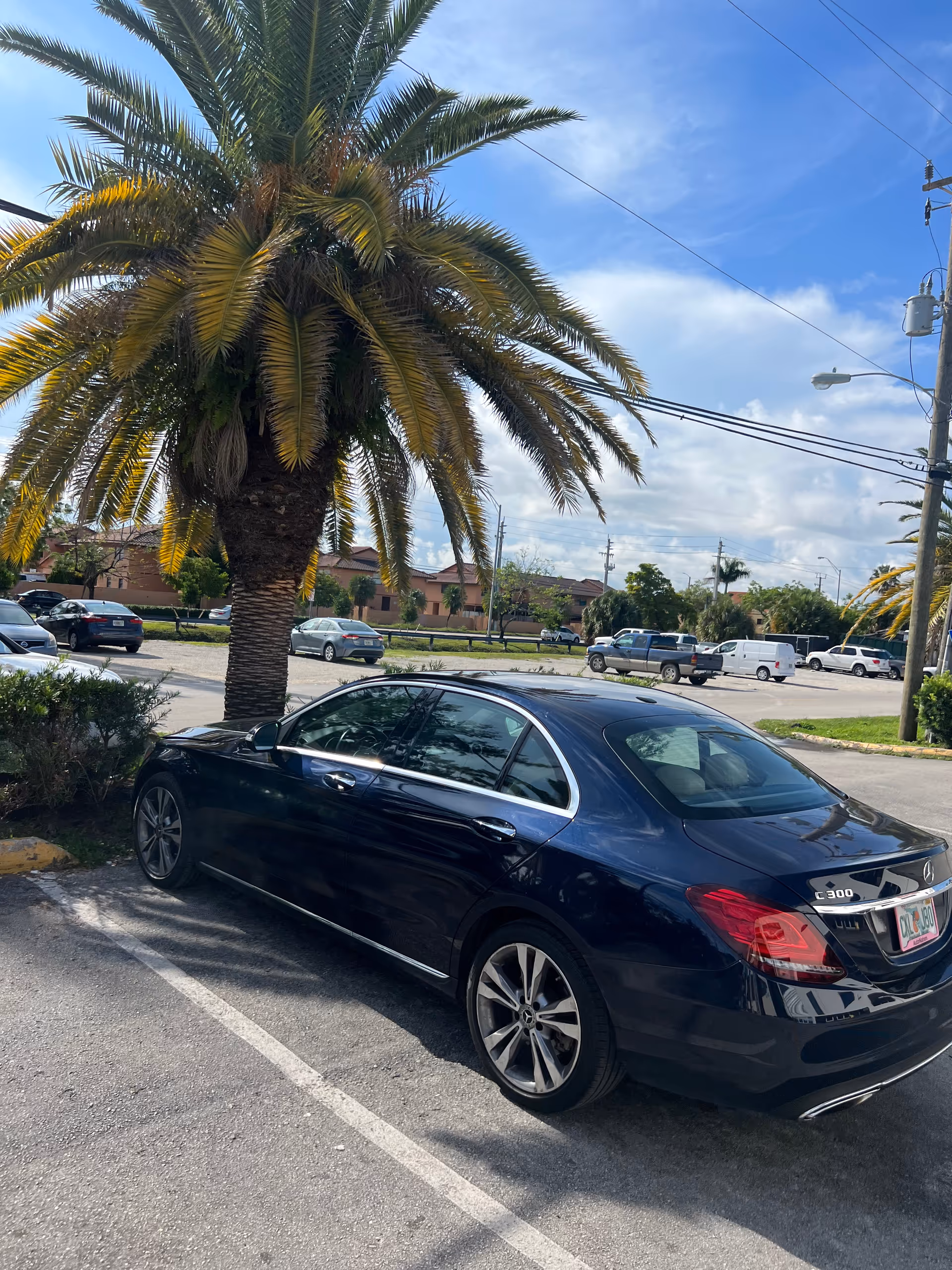 Blue luxury sedan parked beside a large palm tree in a sunny outdoor lot