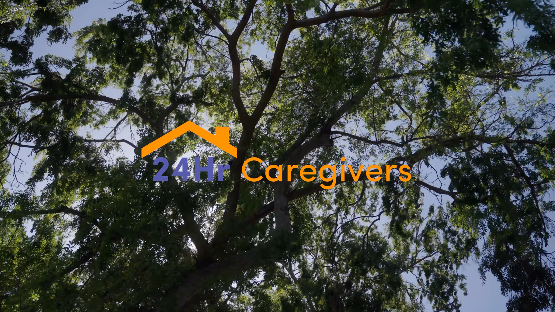 Tree canopy with the 24Hr Caregivers logo centered over leaves
