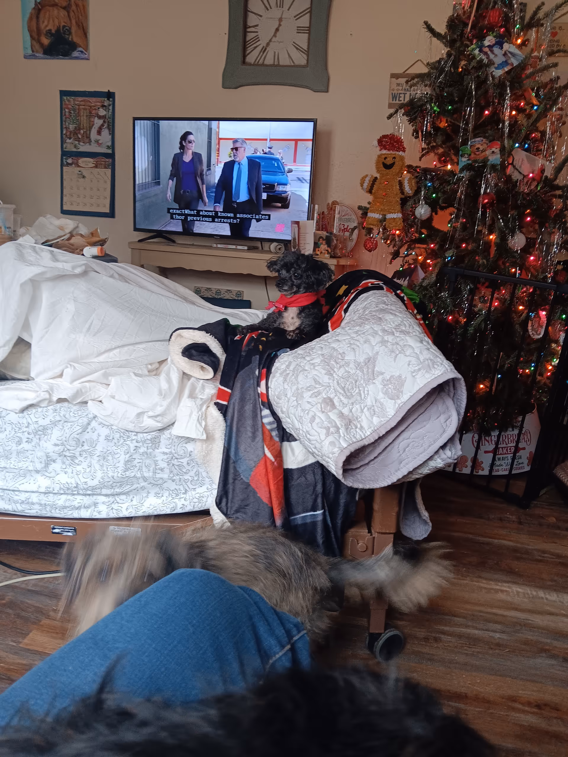 Cozy hospice bedroom with a bed, TV, and a decorated Christmas tree.