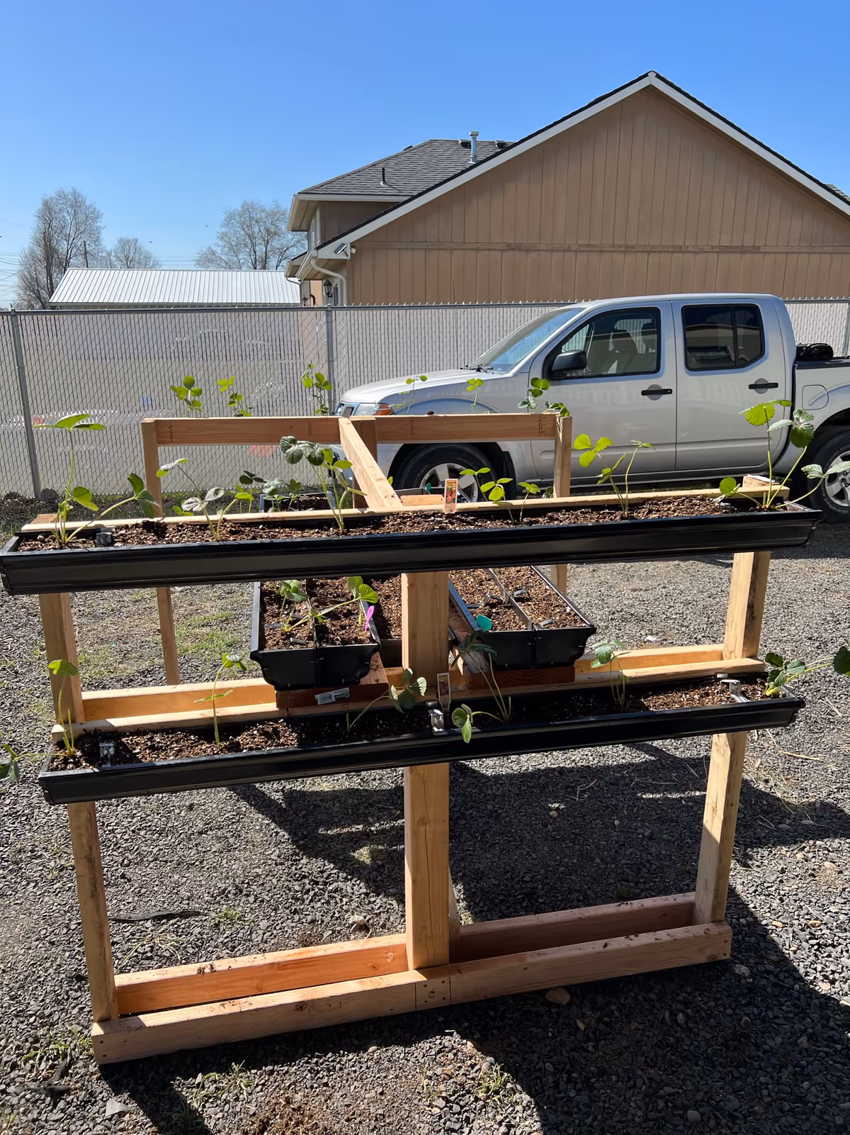 Wooden multi-tier garden planter filled with seedlings beside a parked silver pickup.