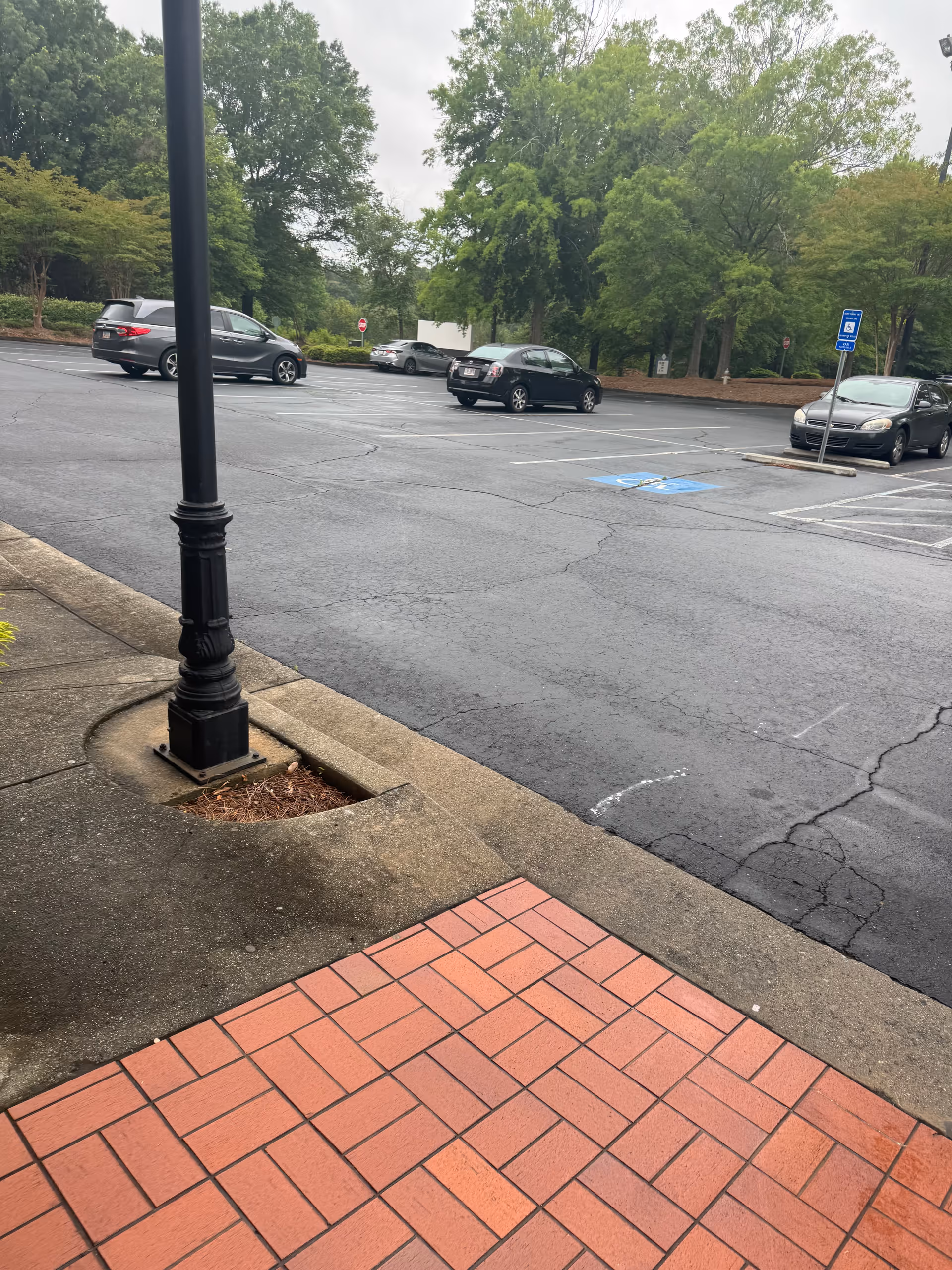 Outdoor parking lot with cars, trees in background, and a lamp post in foreground.
