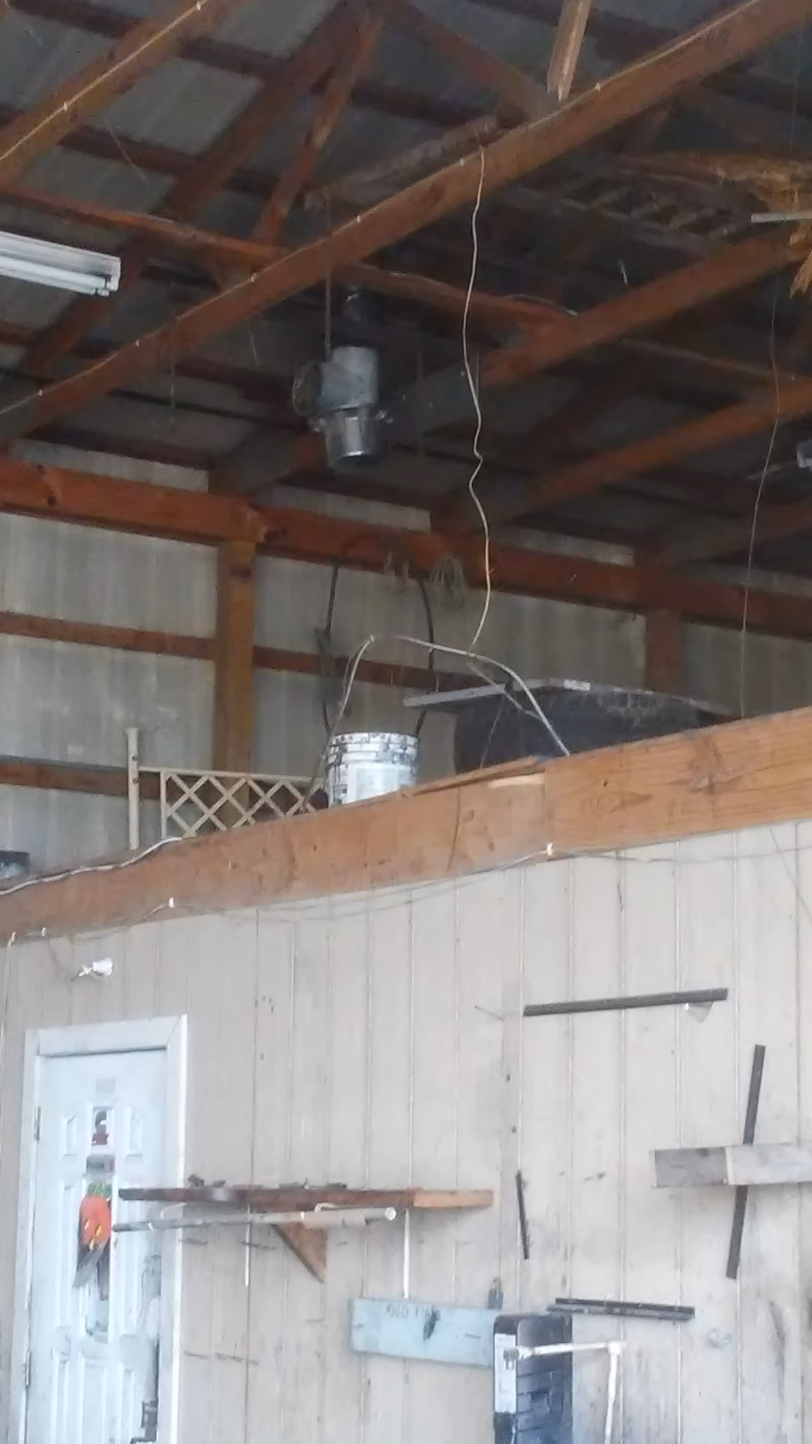 Inside an unfinished utility area with exposed beams, pipes, and shelves.