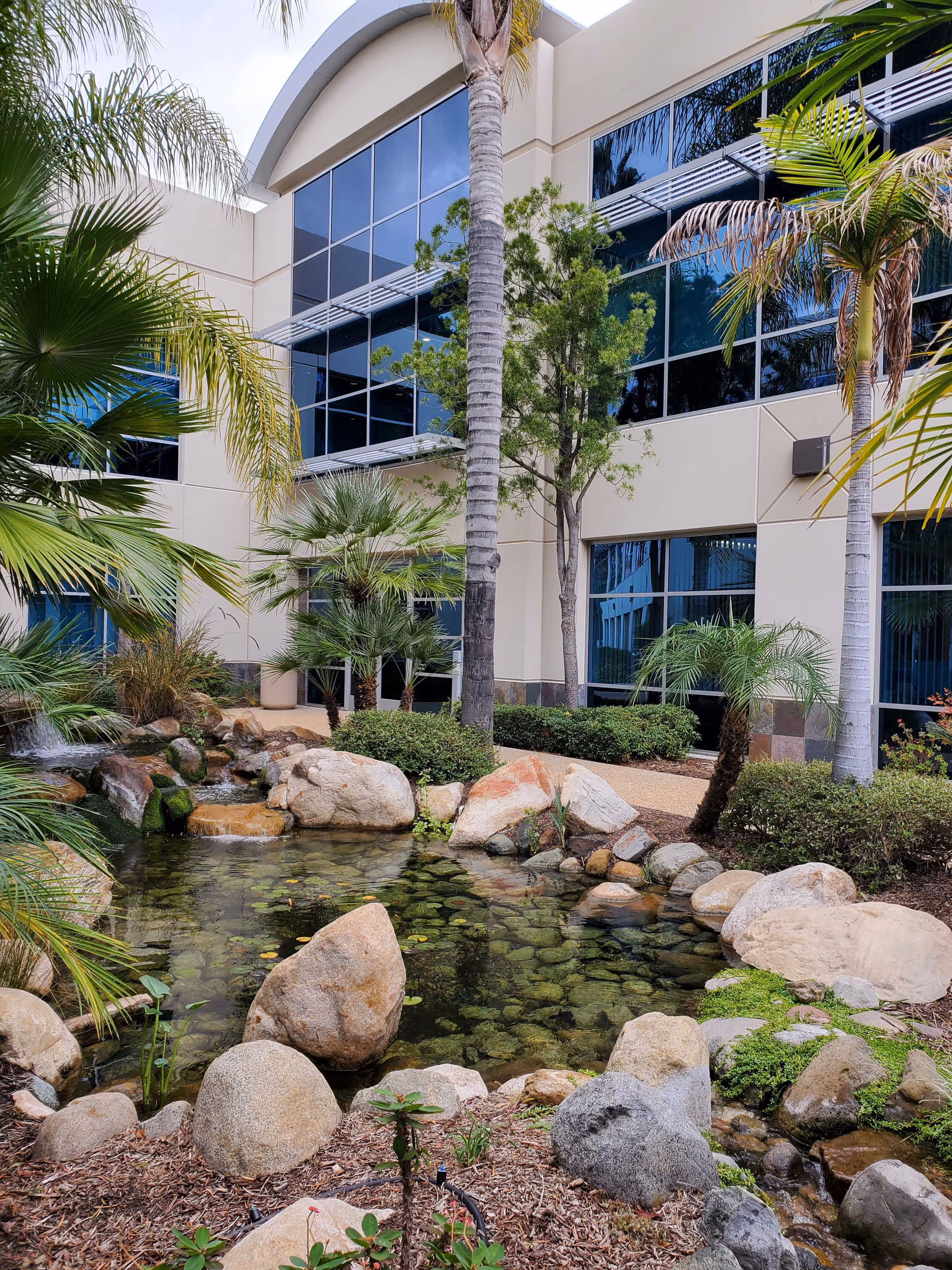 Sunlit outdoor courtyard with palm trees and a rocky pond beside a glass storefront building.