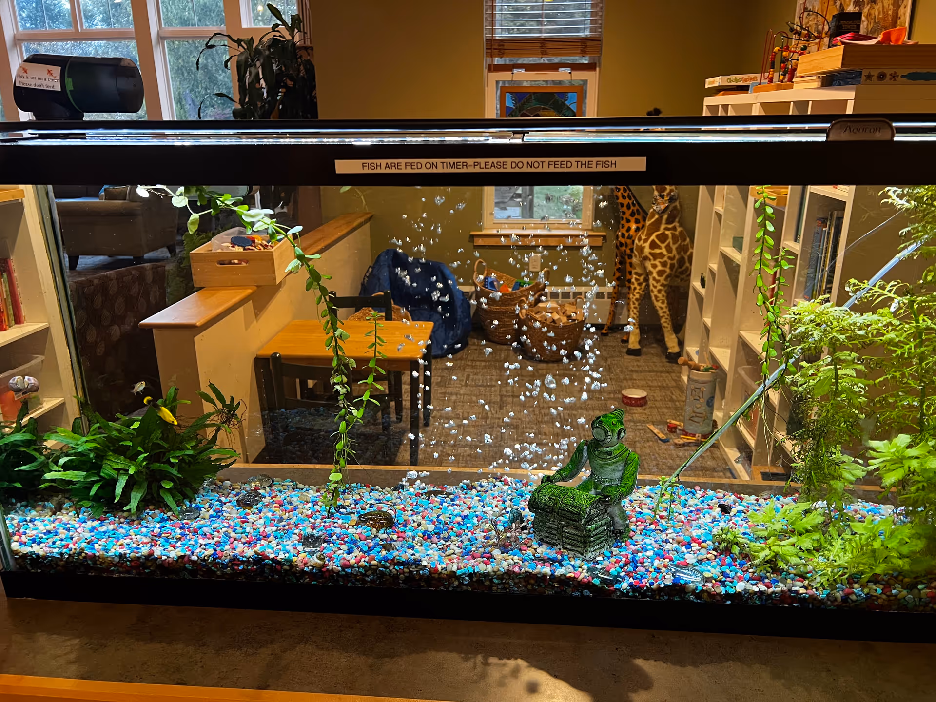 Inside a care facility, a large aquarium displays colorful gravel, plants, and decorative items behind glass.