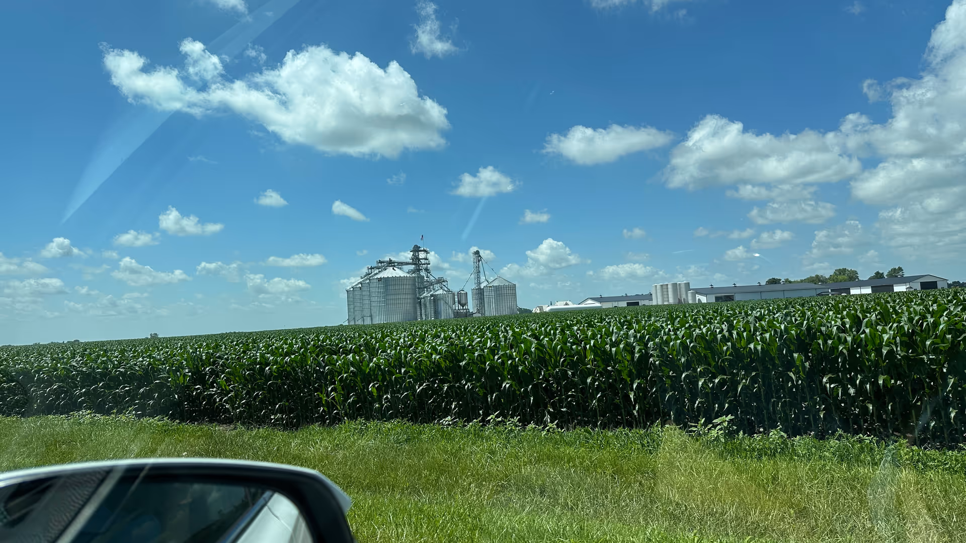 View of a cornfield with silos and a large industrial building under a blue sky.