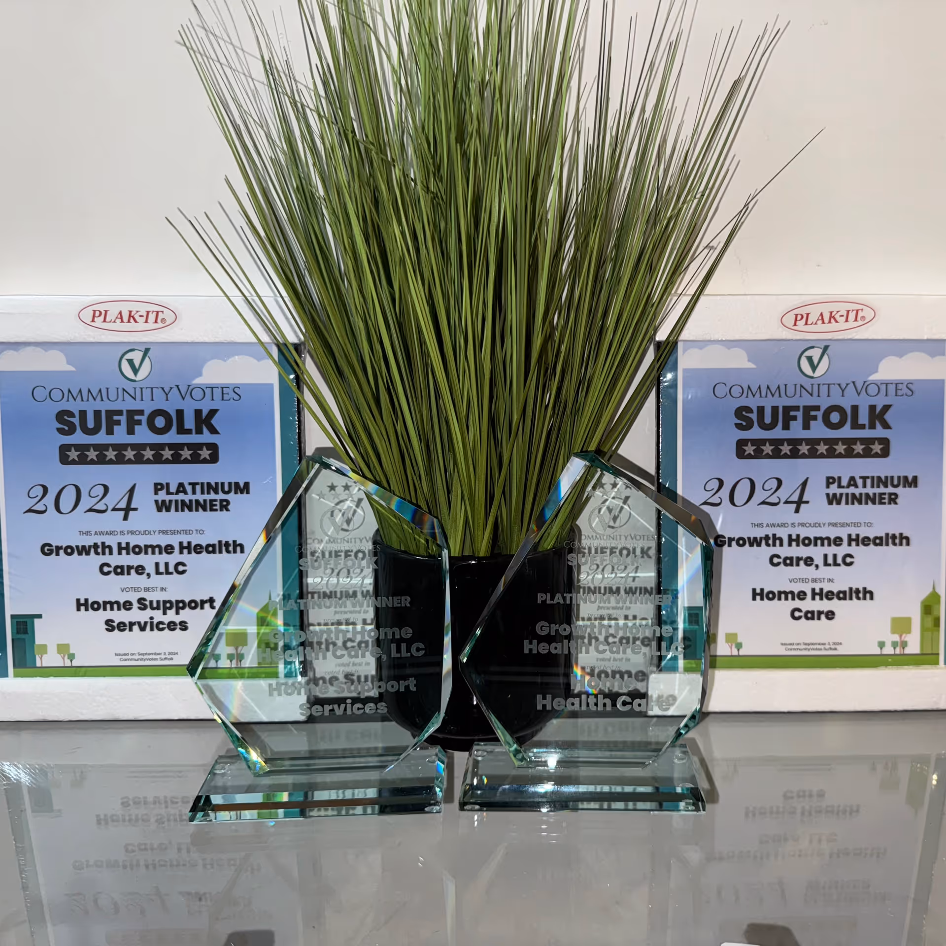 Tall green plant centerpiece with glass award plaques and Suffolk 2024 certificates displayed on a desk.