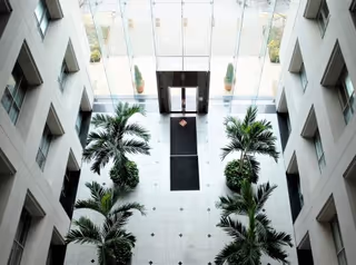 Bright indoor atrium with glass ceiling, black mats, and potted palm trees.