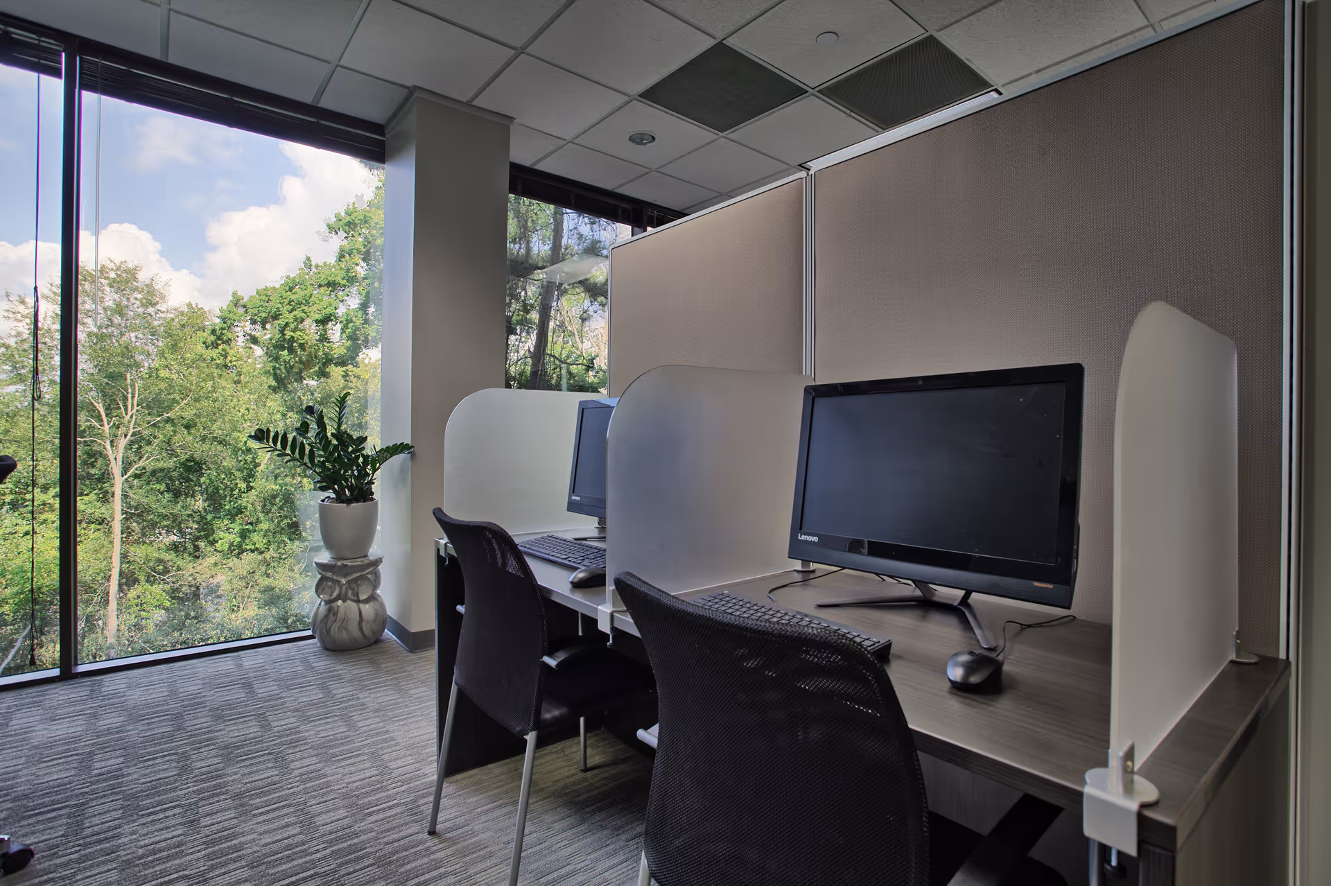Office cubicles with computers and a large window overlooking green trees.