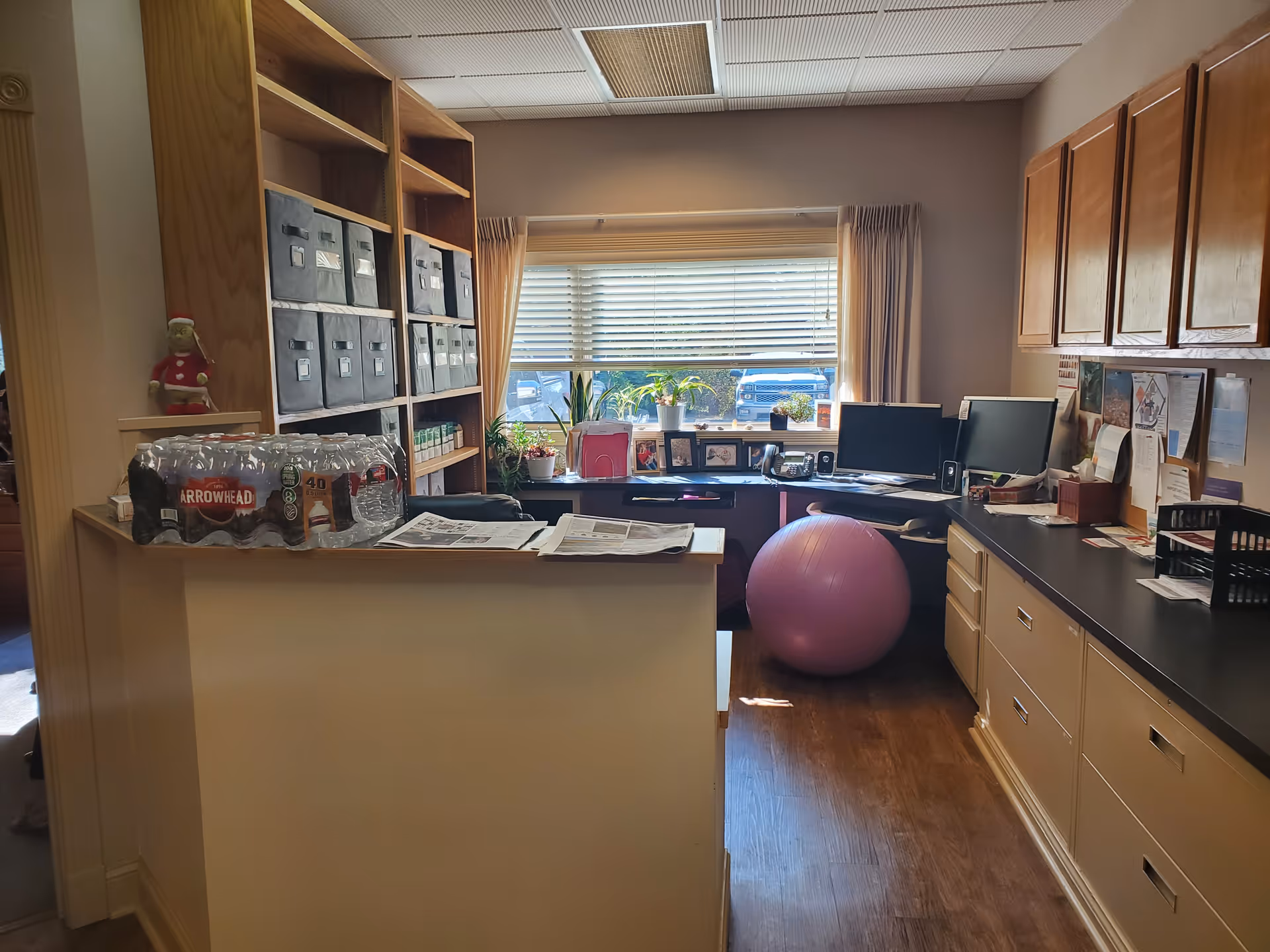 Office-like staff workspace with shelves, desks, and a pink exercise ball.