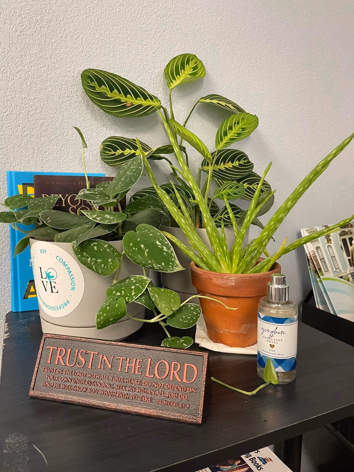 Indoor desk with potted plants, a devotional sign, spray bottle, and magazines.