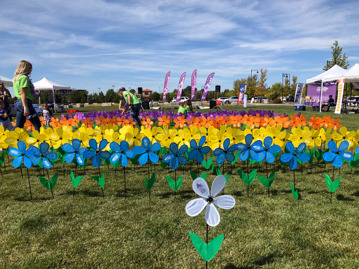 Colorful pinwheels line a sunny grassy field with tents and people in the background.