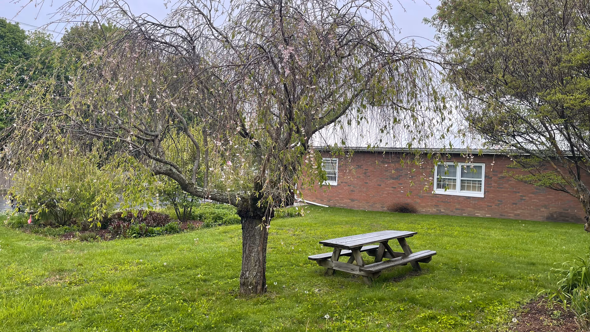 Grassy outdoor area with a wooden picnic table near a brick building and trees.