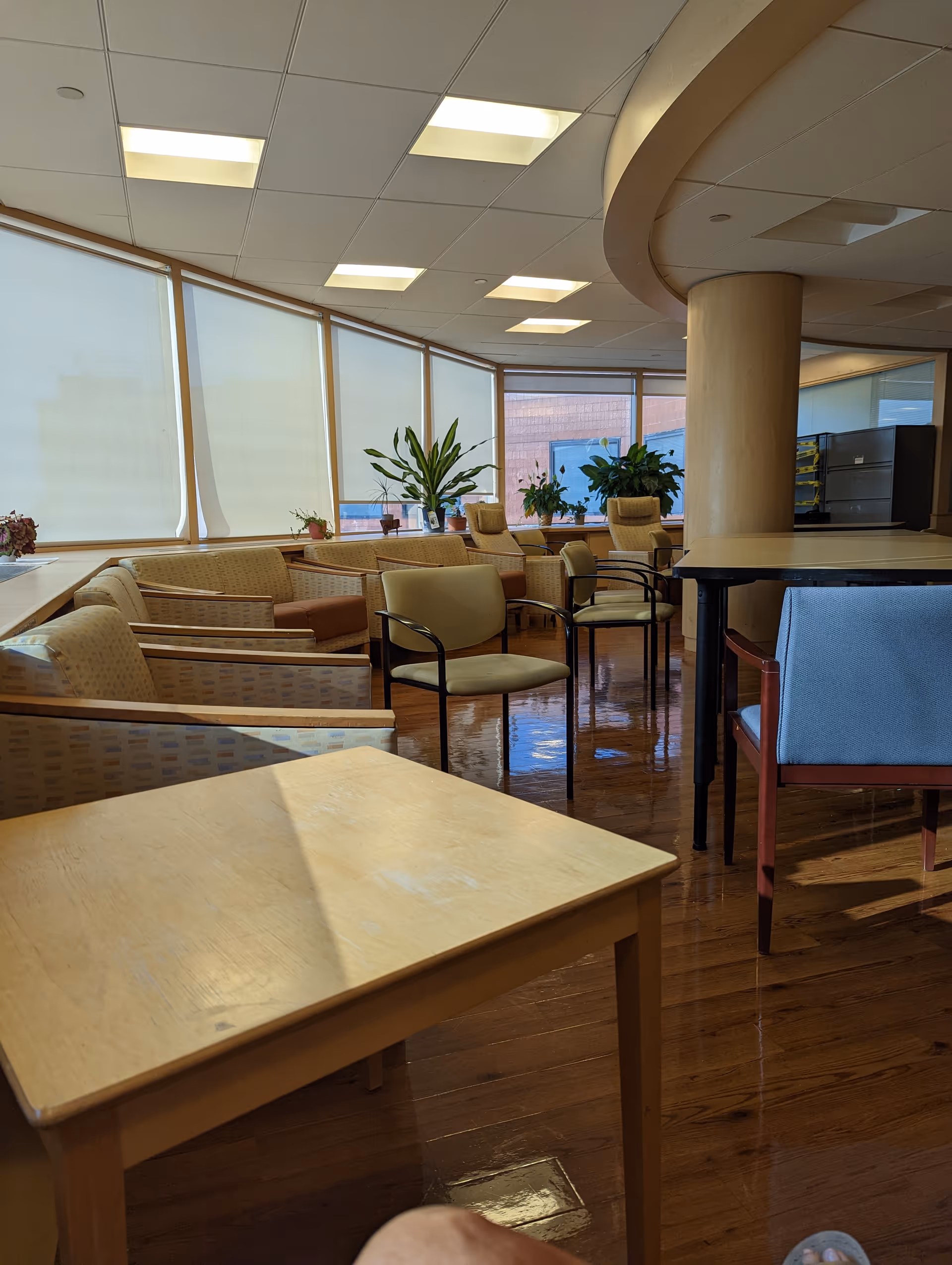 Spacious senior living lounge with beige seating, wooden floors, large windows, and plants.