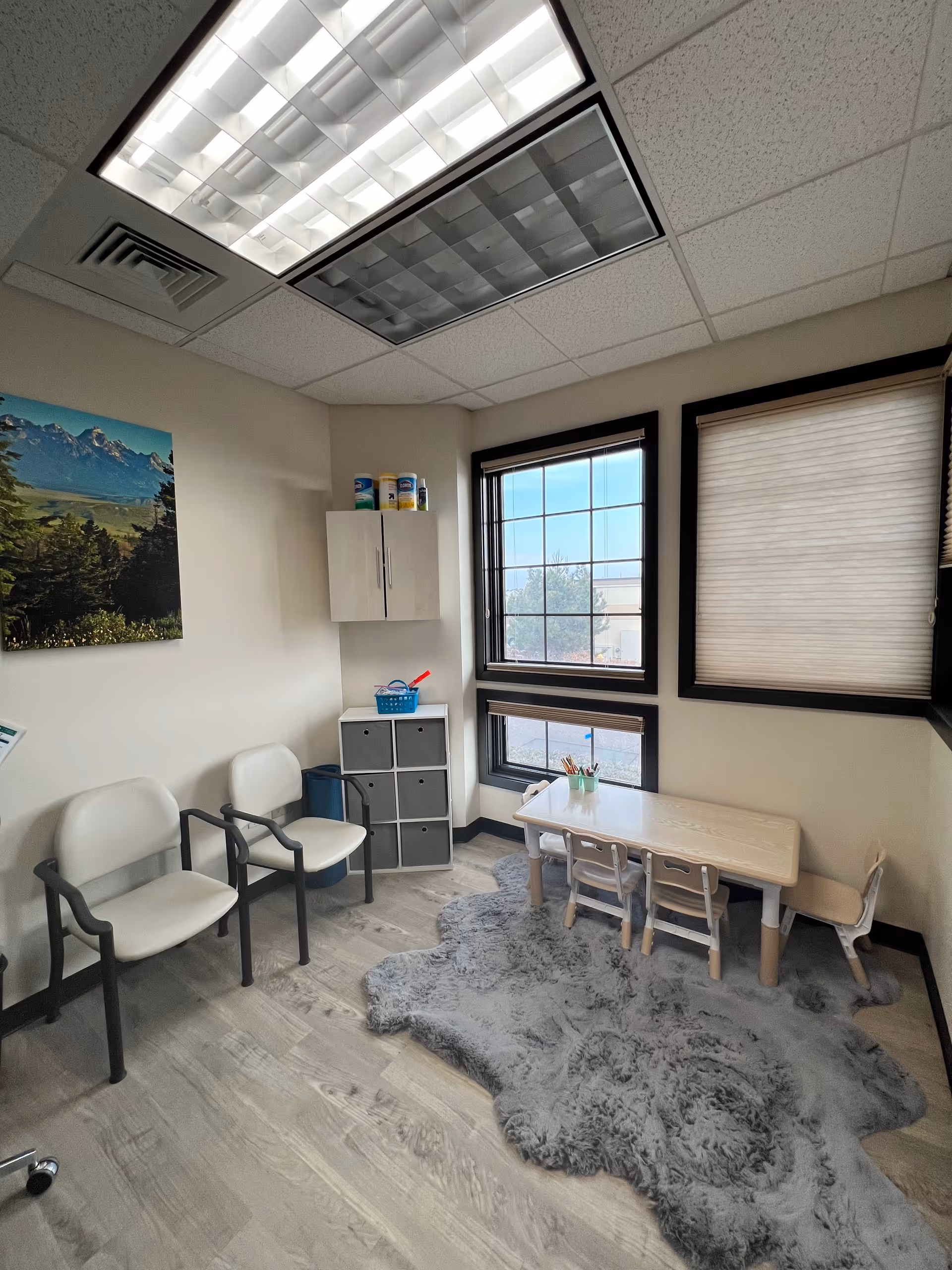 Small pediatric therapy room with child-sized table and chairs, cubbies, and a fluffy rug.