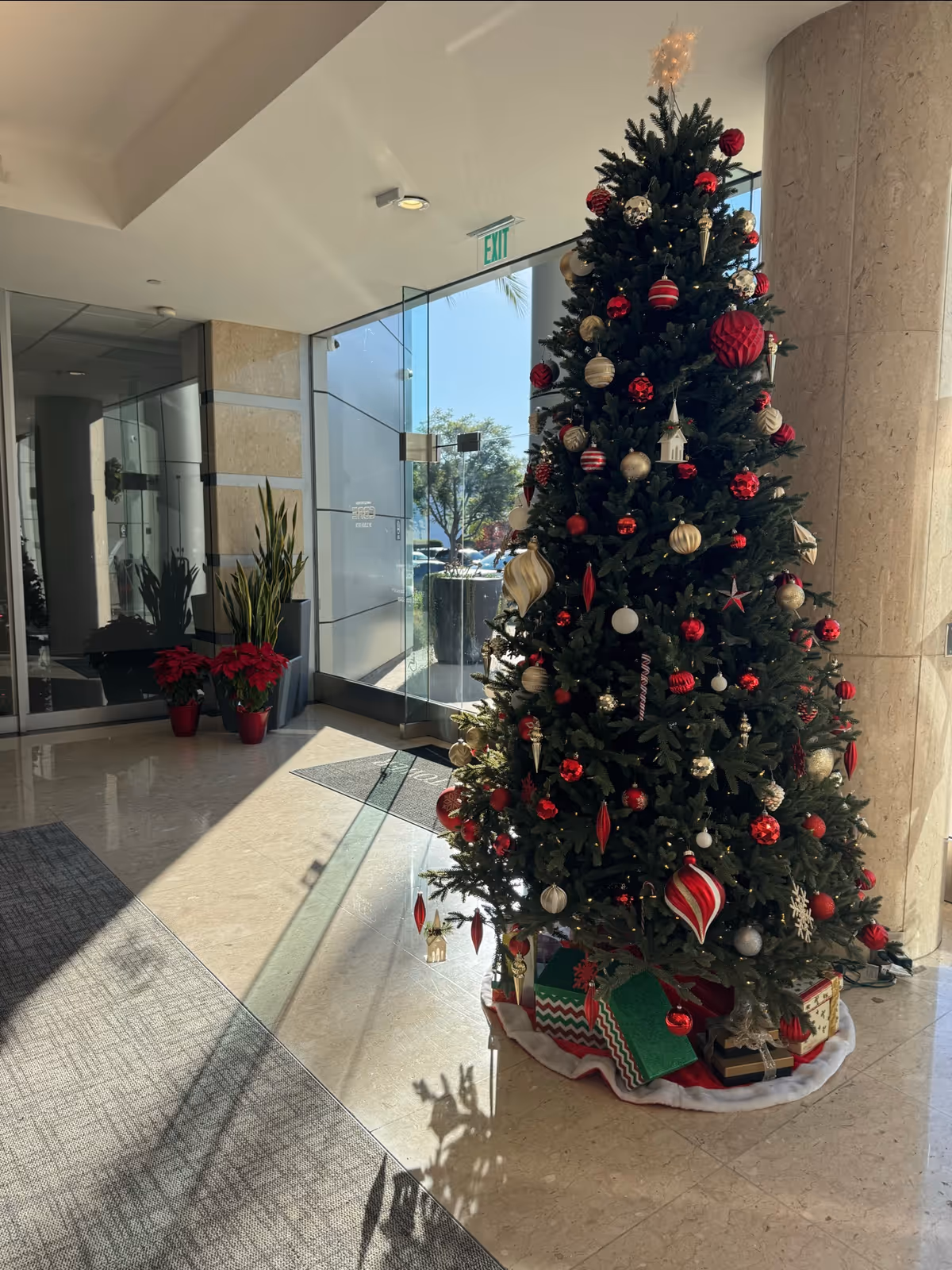 Amada Senior Care lobby interior with a tall decorated Christmas tree near glass doors and plants
