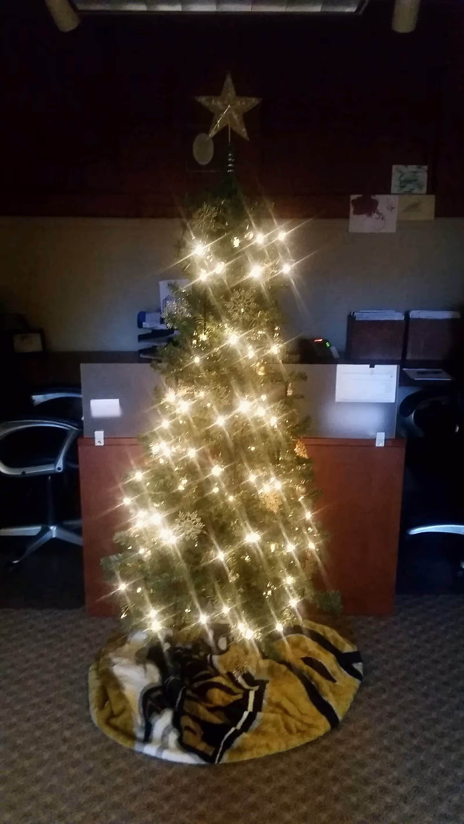 A brightly lit Christmas tree stands in a dim office-like reception area.