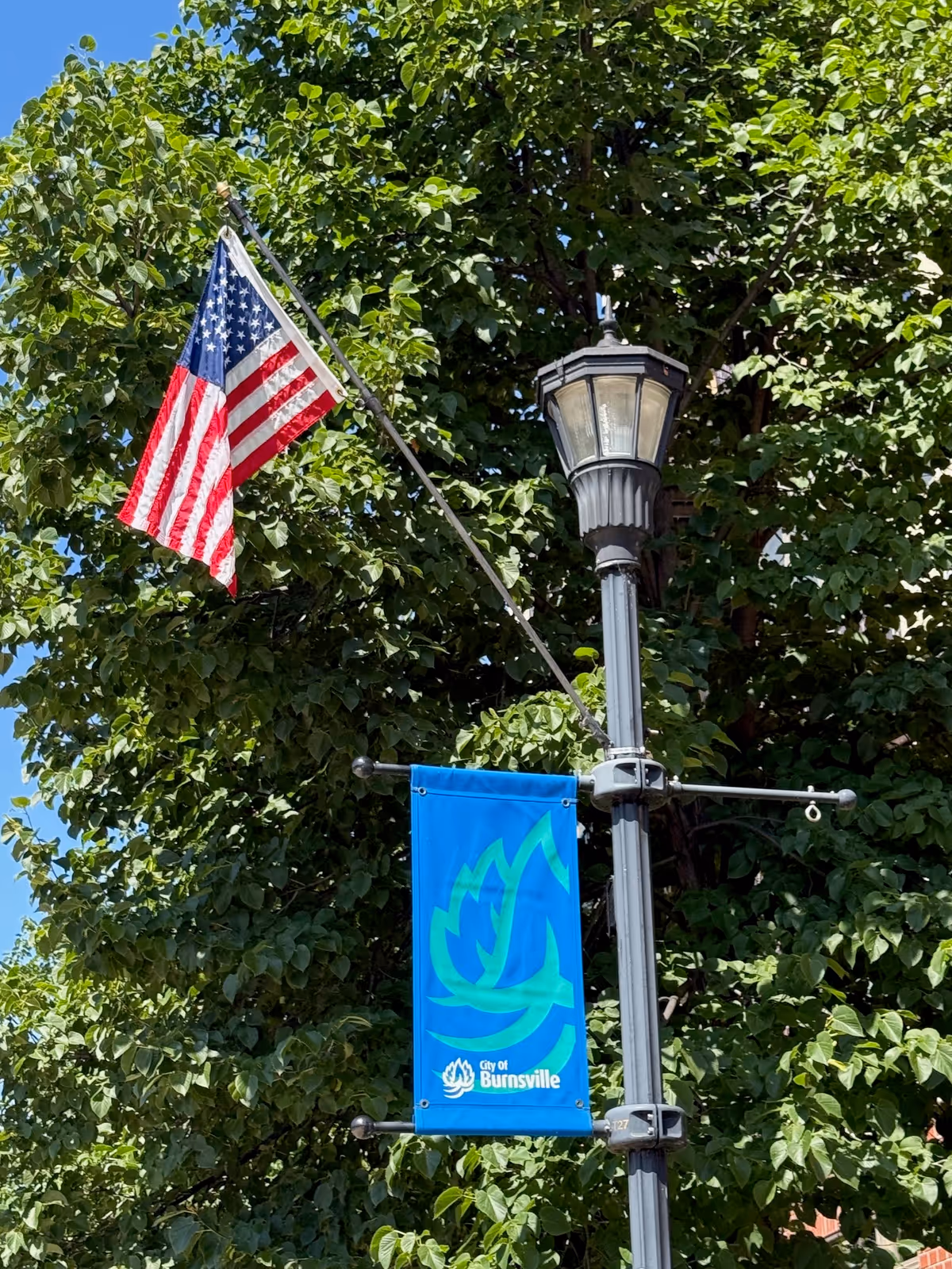 American flag and blue city banner on a lamppost with green trees.