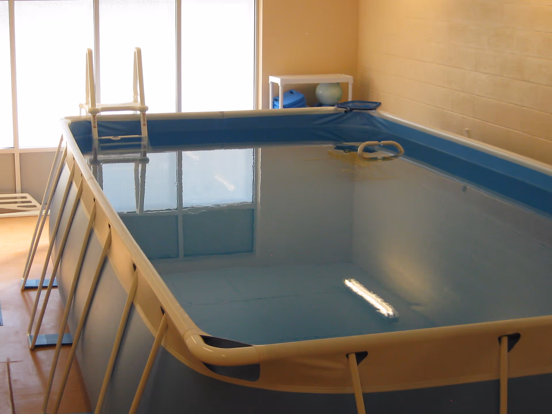 Indoor therapy pool with metal ladder, blue water, and large windows.