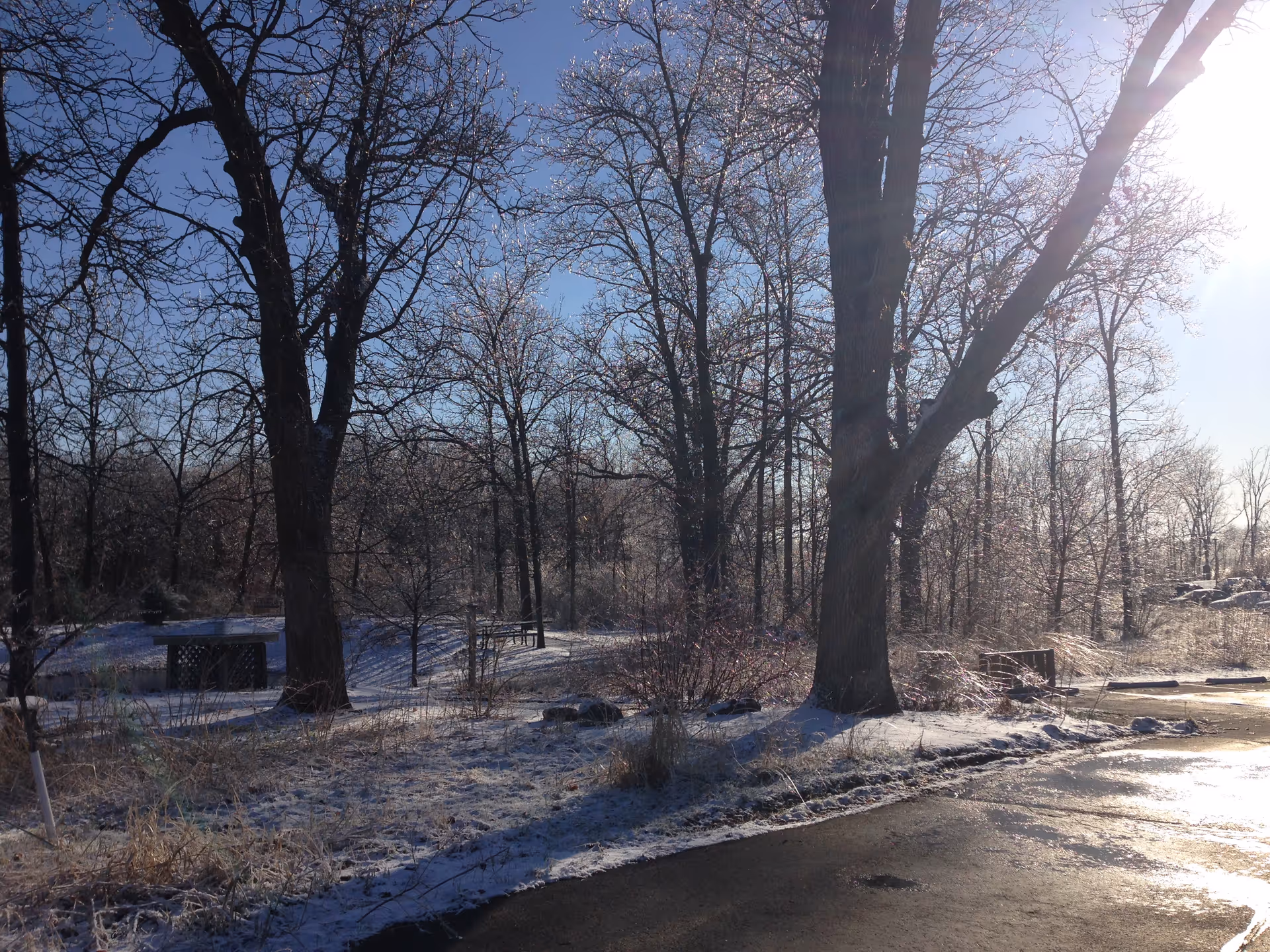 Snowy outdoor park area with bare trees, benches, and a sunlit parking lot.