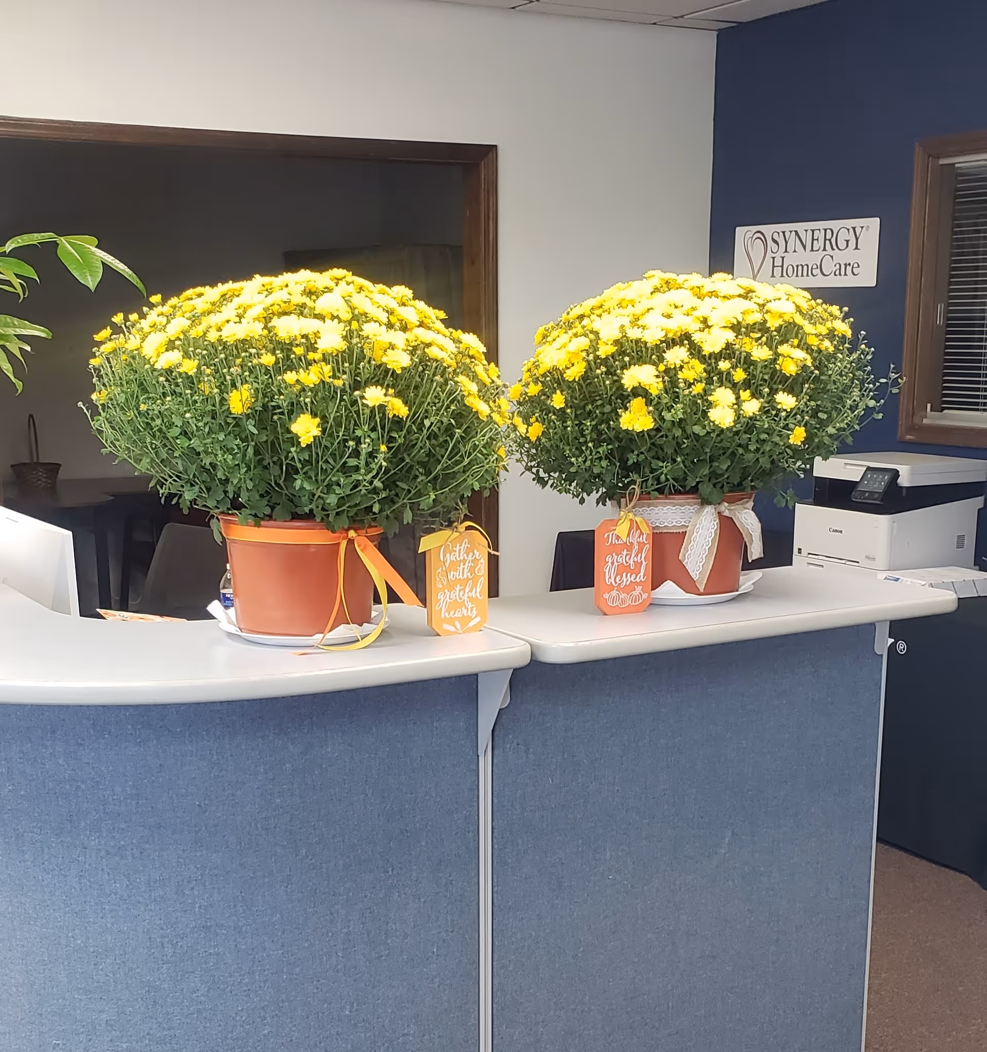 Reception desk with two potted yellow chrysanthemums and a Synergy HomeCare sign.