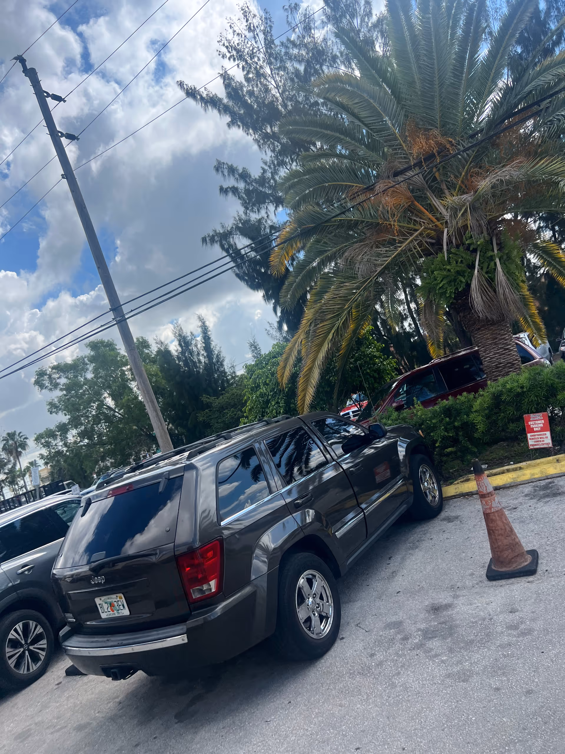 Outdoor parking lot with a gray SUV, palm trees, power lines, and a traffic cone.