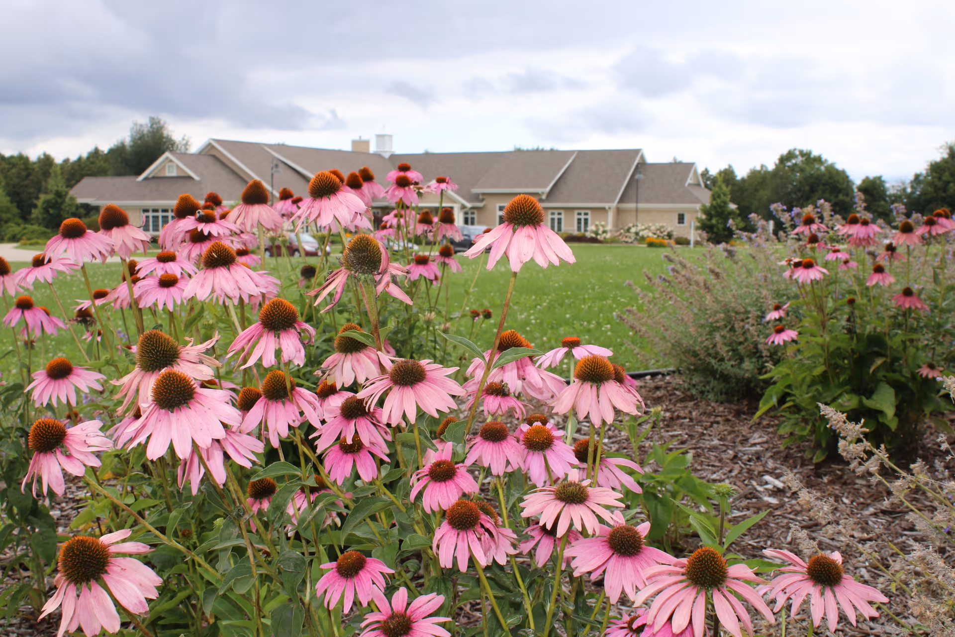 Front view of Unity Hospice building with pink coneflowers in the foreground.