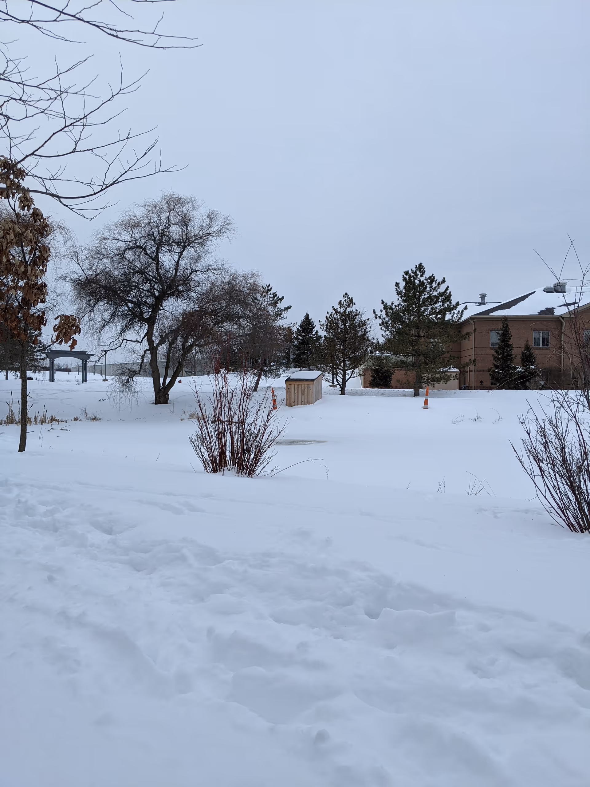 Snow-covered yard with leafless trees and a brown building in the distance.