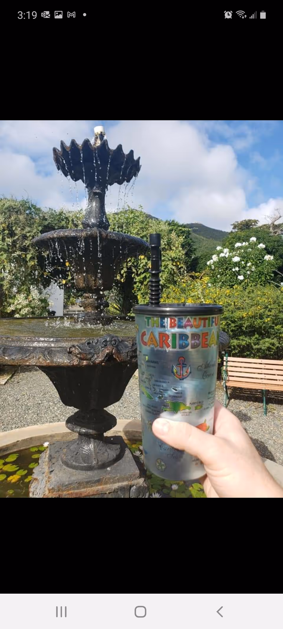 A hand holds a Caribbean-themed metal tumbler near a fountain in an outdoor garden.
