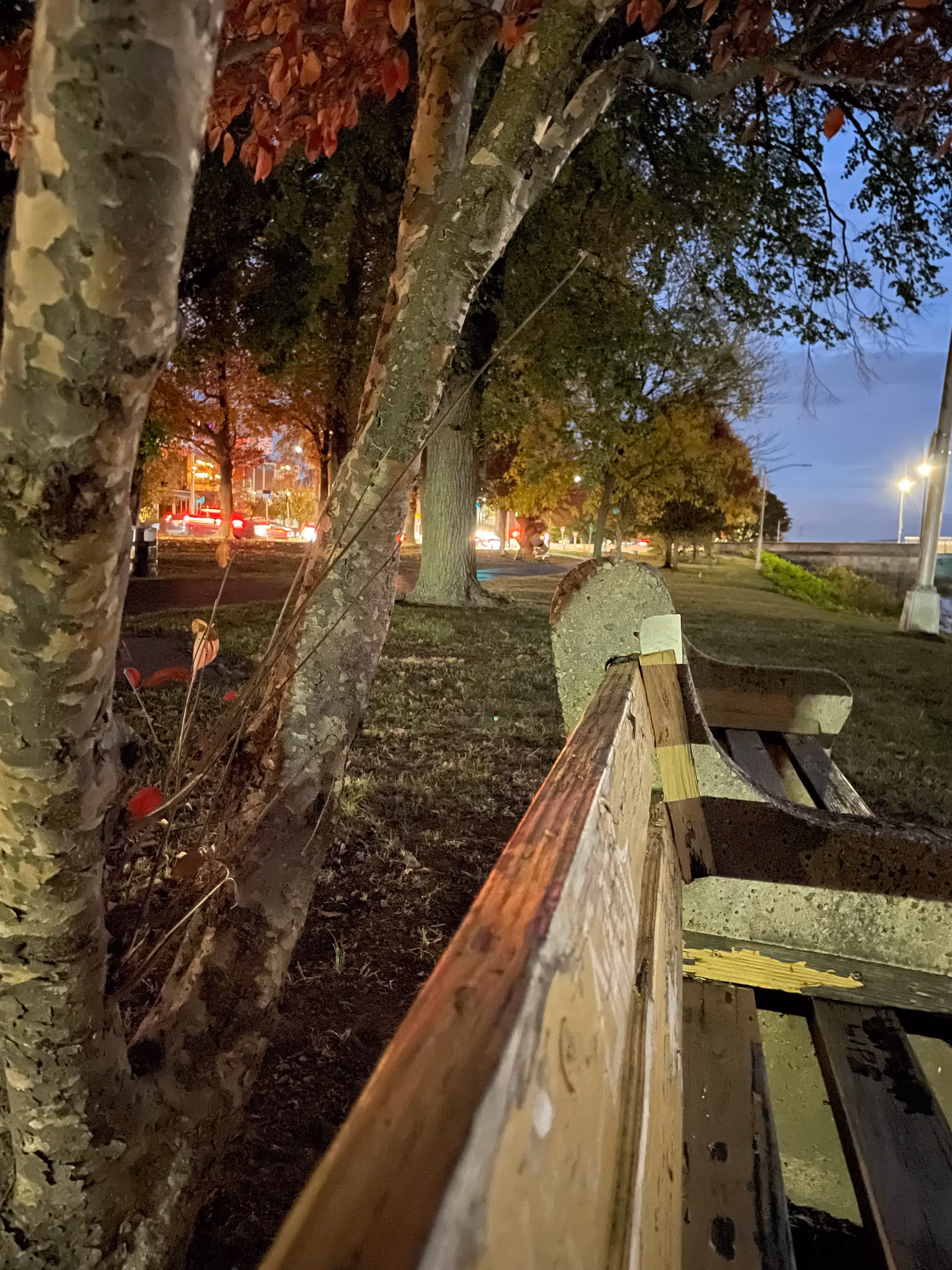 Evening outdoor park scene with a wooden bench, trees, and distant streetlights.