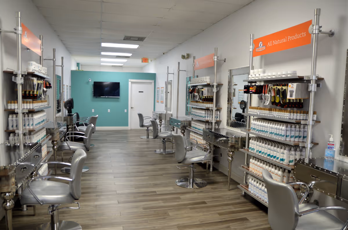Salon-style lice treatment clinic with multiple chairs, mirrors, and product shelves.