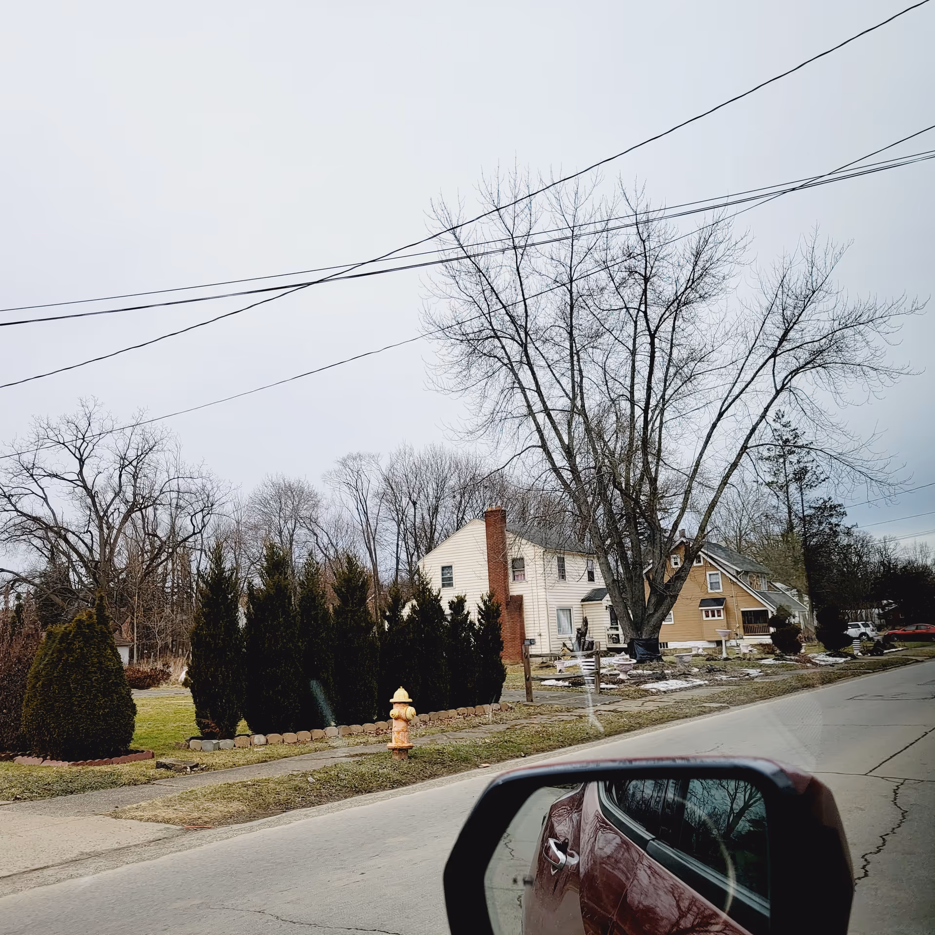 Residential street with bare trees, parked car, and a yellow fire hydrant.