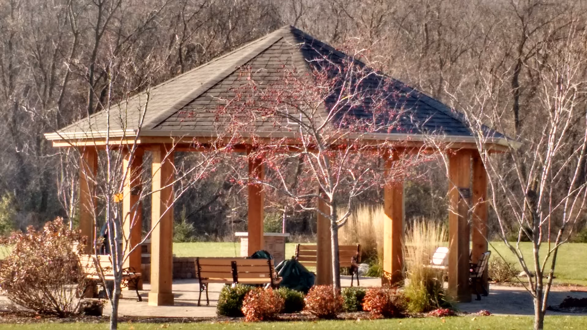 Wooden gazebo with benches surrounded by leafless trees in a park-like outdoor area.