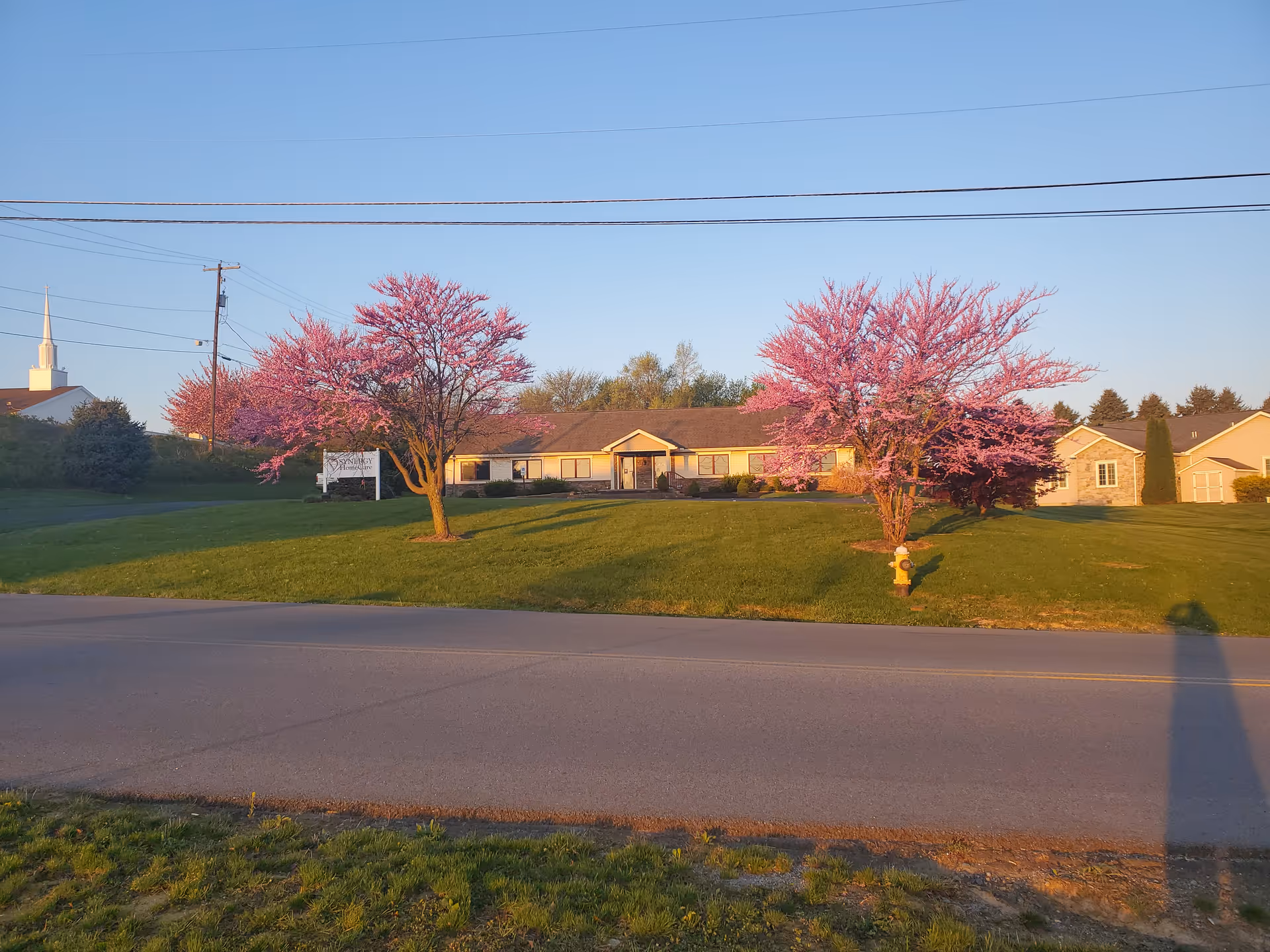 Front view of a single-story building with pink blossoming trees and a grassy lawn.